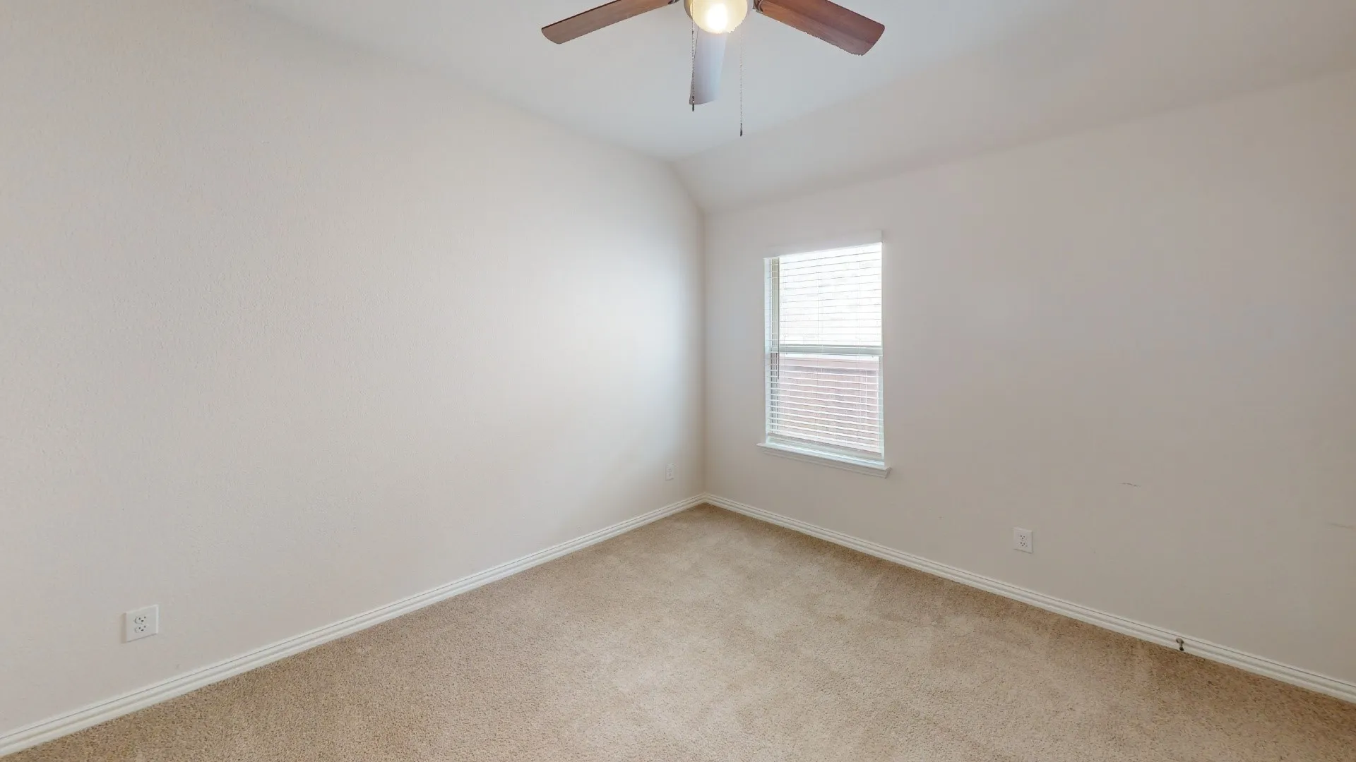 Carpeted room with a ceiling fan, a single window, and textured walls