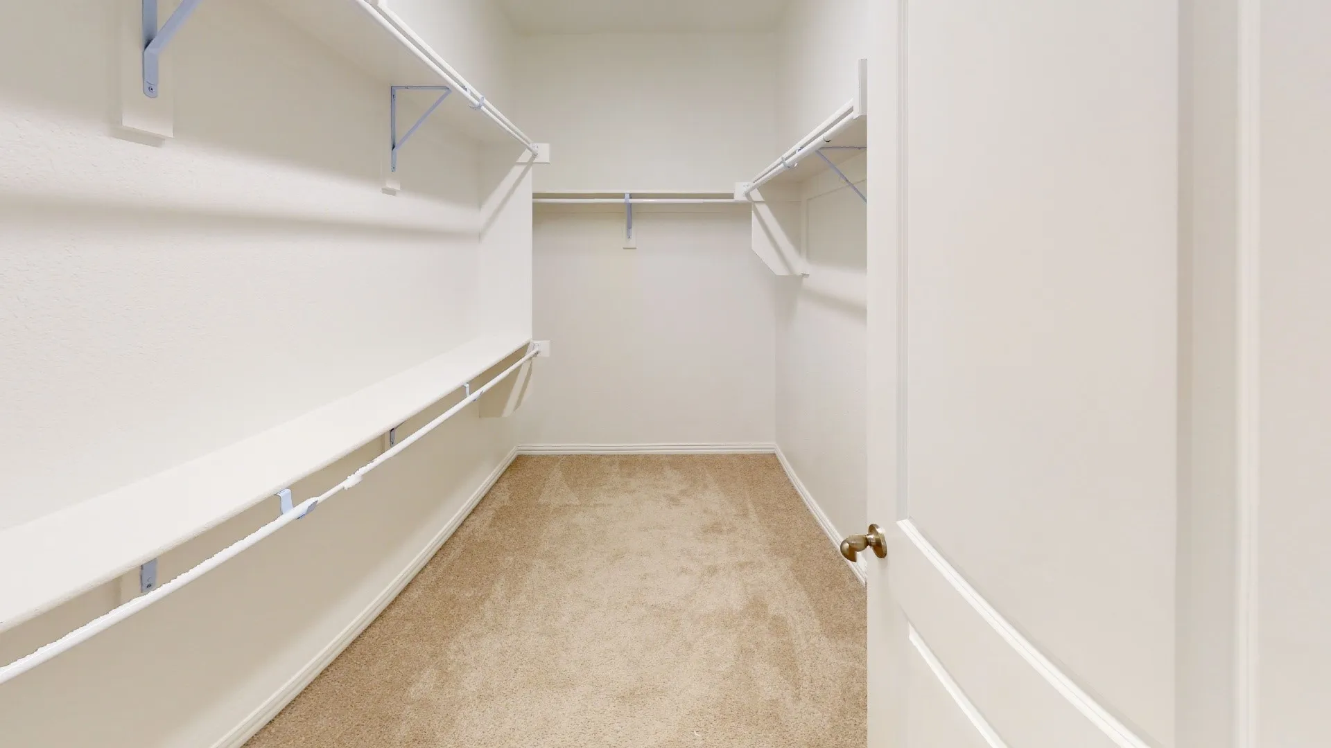 Walk-in closet featuring light beige carpeting, white walls, multiple shelving units, and clothing rods