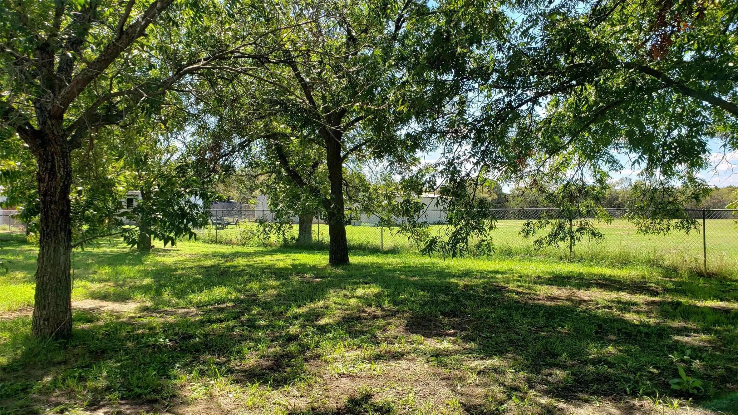 Expansive grass lawn with mature trees and a metal outbuilding