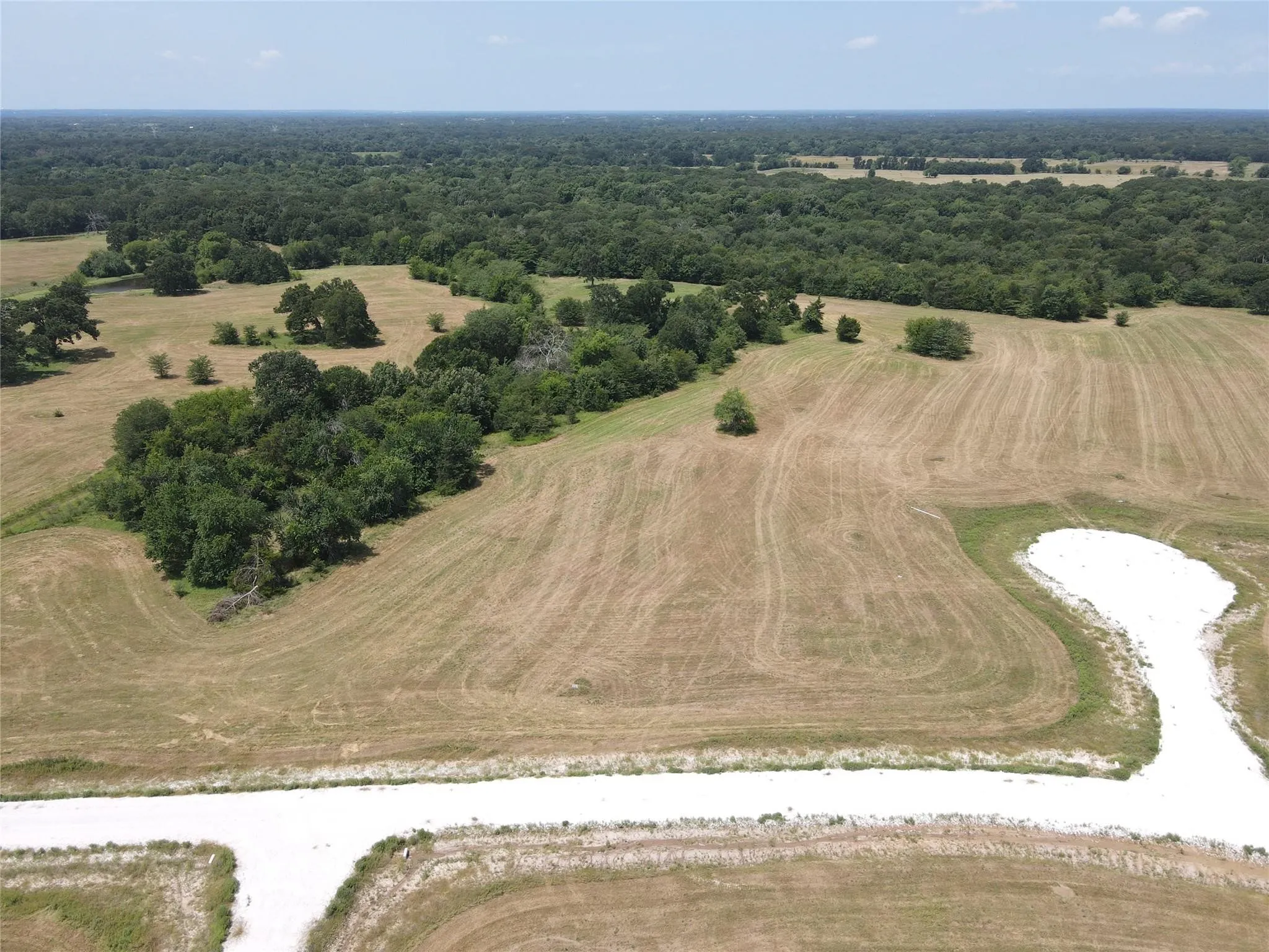 Expansive land parcel featuring open fields, scattered mature trees, and a distant tree line