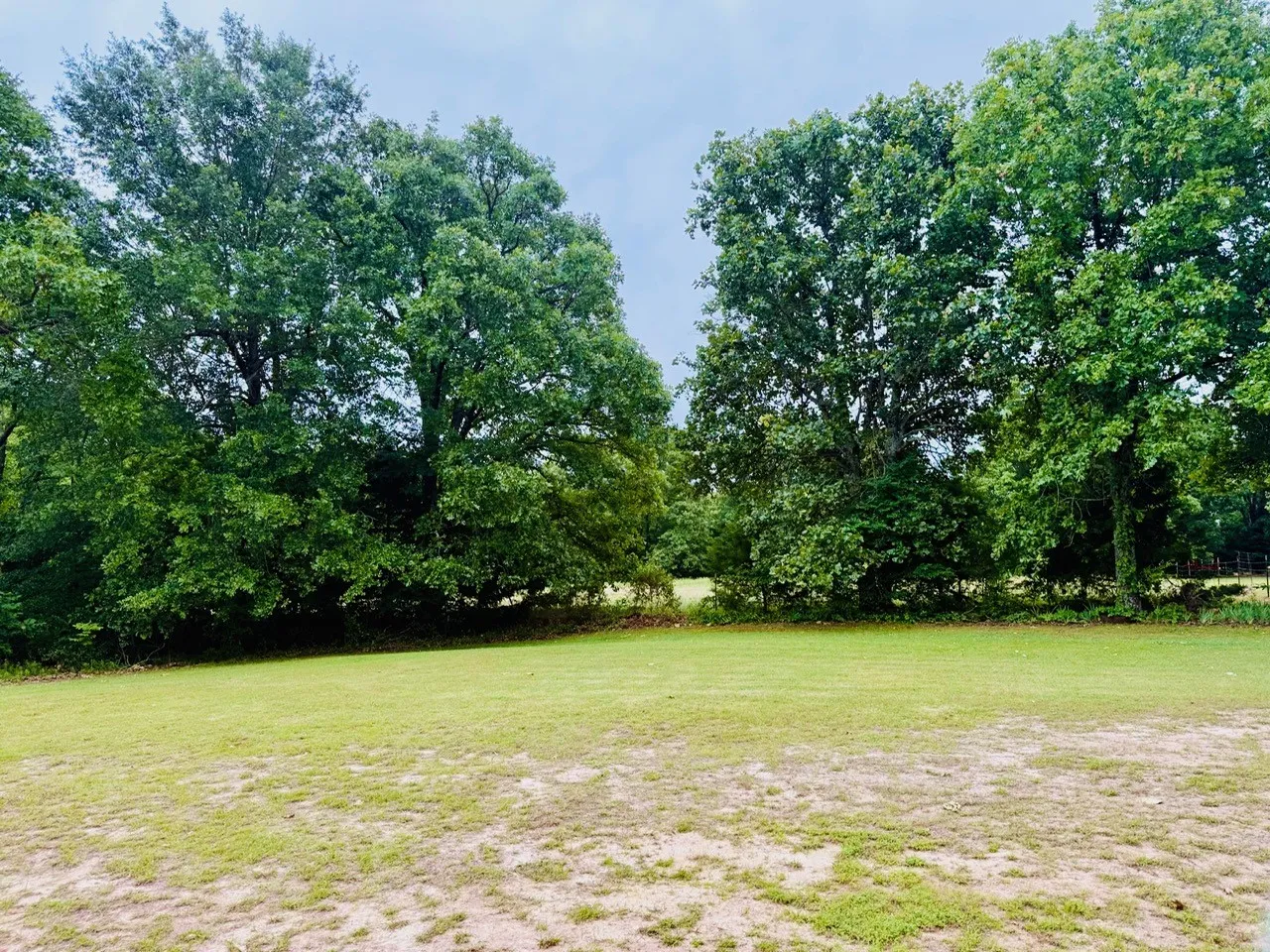 Expansive lawn with mature trees providing natural shade and privacy