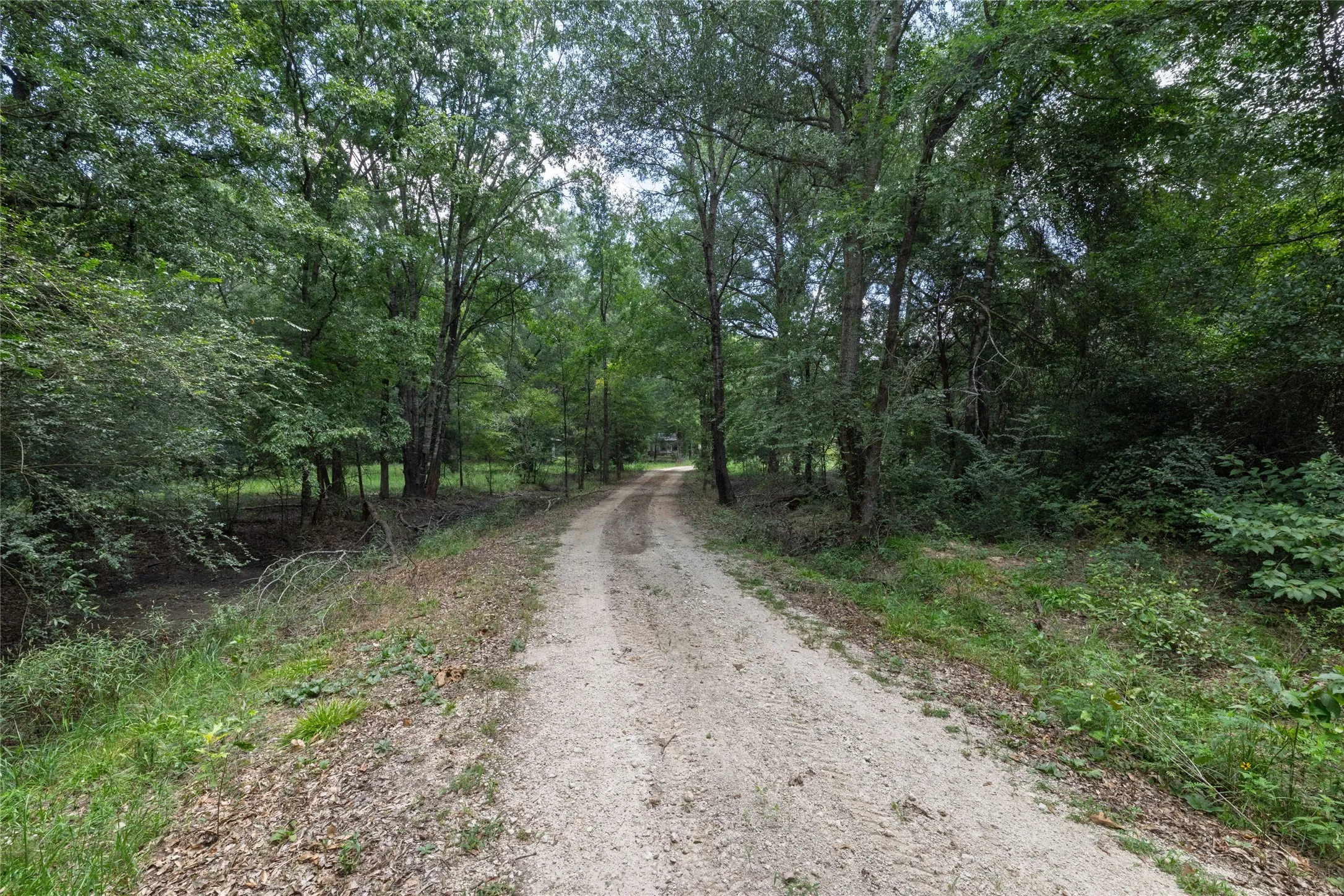 Single Family Residence For Sale in Anderson County , 14313 FM 645, Palestine, Texas 75803, 4 Bedroom, 4 Bathroom, 1 Garage spaces, 2,764 Sqft, built in 2022, mls#21404580, Real Estate Agent in Palestine, Homes For Sale in Anderson county, Homes For Sale in Palestine, Realtor in Palestine Texas, Real Estate Brokerage Independent Realty Texas, Luminita Cordes Realtor