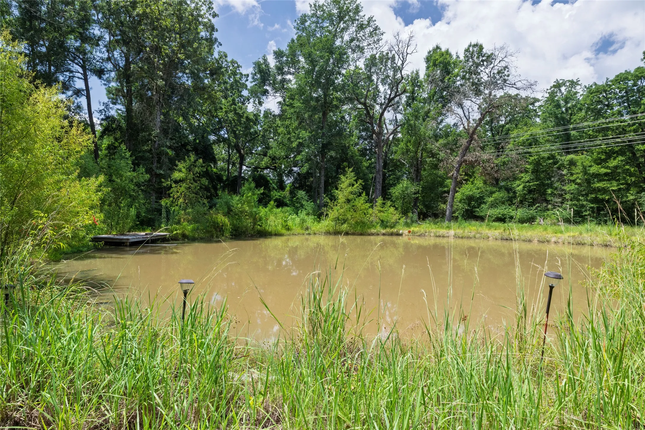Single Family Residence For Sale in Anderson County , 14313 FM 645, Palestine, Texas 75803, 4 Bedroom, 4 Bathroom, 1 Garage spaces, 2,764 Sqft, built in 2022, mls#21404580, Real Estate Agent in Palestine, Homes For Sale in Anderson county, Homes For Sale in Palestine, Realtor in Palestine Texas, Real Estate Brokerage Independent Realty Texas, Luminita Cordes Realtor