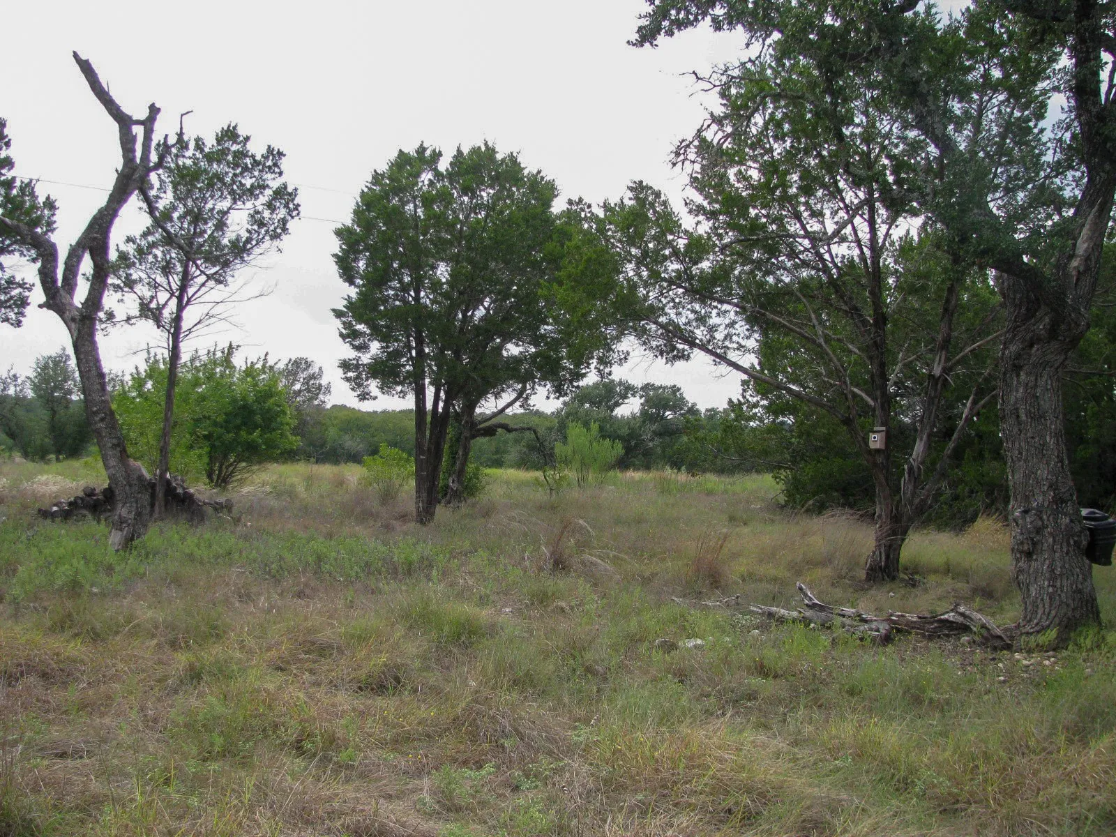 Unimproved Land For Sale in Hamilton County , Lot 106 Ph 6 PR 42101, Evant, Texas 76525, 0, 0, Garage spaces, 0 Sqft, built in 0, mls#21404588, Real Estate Agent in Evant, Homes For Sale in Hamilton county, Homes For Sale in Evant, Realtor in Evant Texas, Real Estate Brokerage Independent Realty Texas, Luminita Cordes Realtor