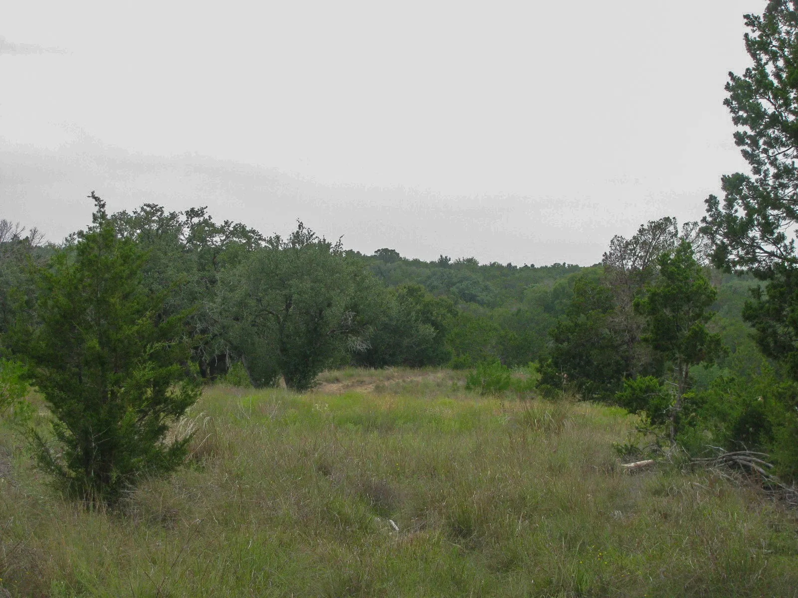 Unimproved Land For Sale in Hamilton County , Lot 106 Ph 6 PR 42101, Evant, Texas 76525, 0, 0, Garage spaces, 0 Sqft, built in 0, mls#21404588, Real Estate Agent in Evant, Homes For Sale in Hamilton county, Homes For Sale in Evant, Realtor in Evant Texas, Real Estate Brokerage Independent Realty Texas, Luminita Cordes Realtor