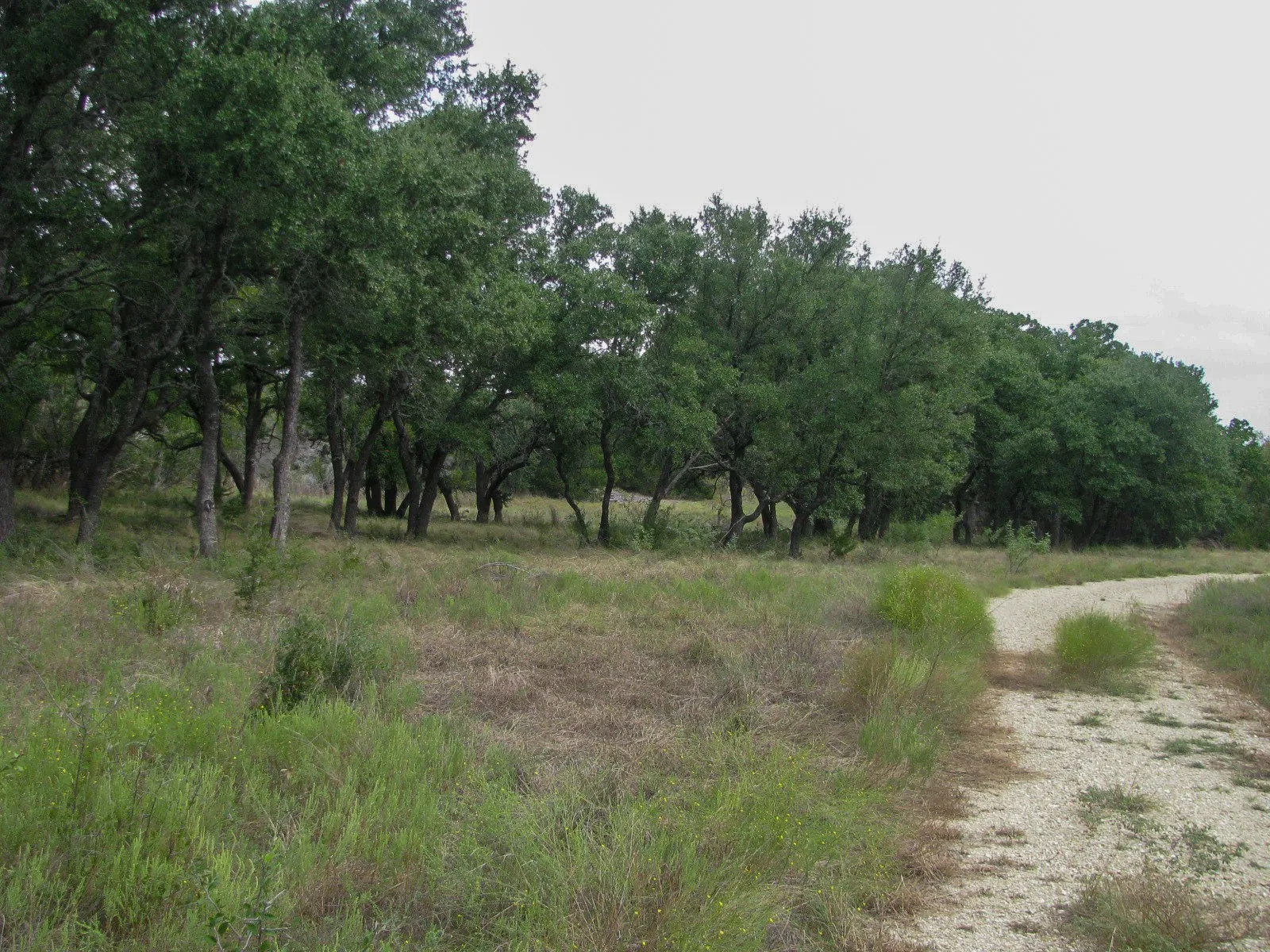 Unimproved Land For Sale in Hamilton County , Lot 106 Ph 6 PR 42101, Evant, Texas 76525, 0, 0, Garage spaces, 0 Sqft, built in 0, mls#21404588, Real Estate Agent in Evant, Homes For Sale in Hamilton county, Homes For Sale in Evant, Realtor in Evant Texas, Real Estate Brokerage Independent Realty Texas, Luminita Cordes Realtor