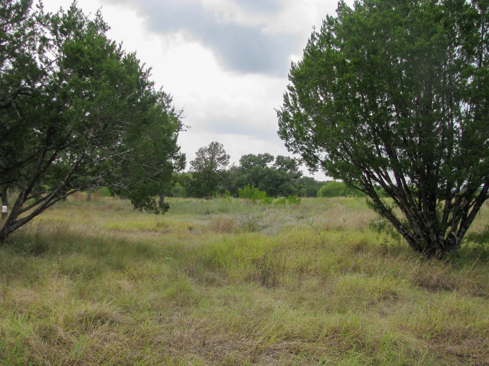 Unimproved Land For Sale in Hamilton County , Lot 106 Ph 6 PR 42101, Evant, Texas 76525, 0, 0, Garage spaces, 0 Sqft, built in 0, mls#21404588, Real Estate Agent in Evant, Homes For Sale in Hamilton county, Homes For Sale in Evant, Realtor in Evant Texas, Real Estate Brokerage Independent Realty Texas, Luminita Cordes Realtor