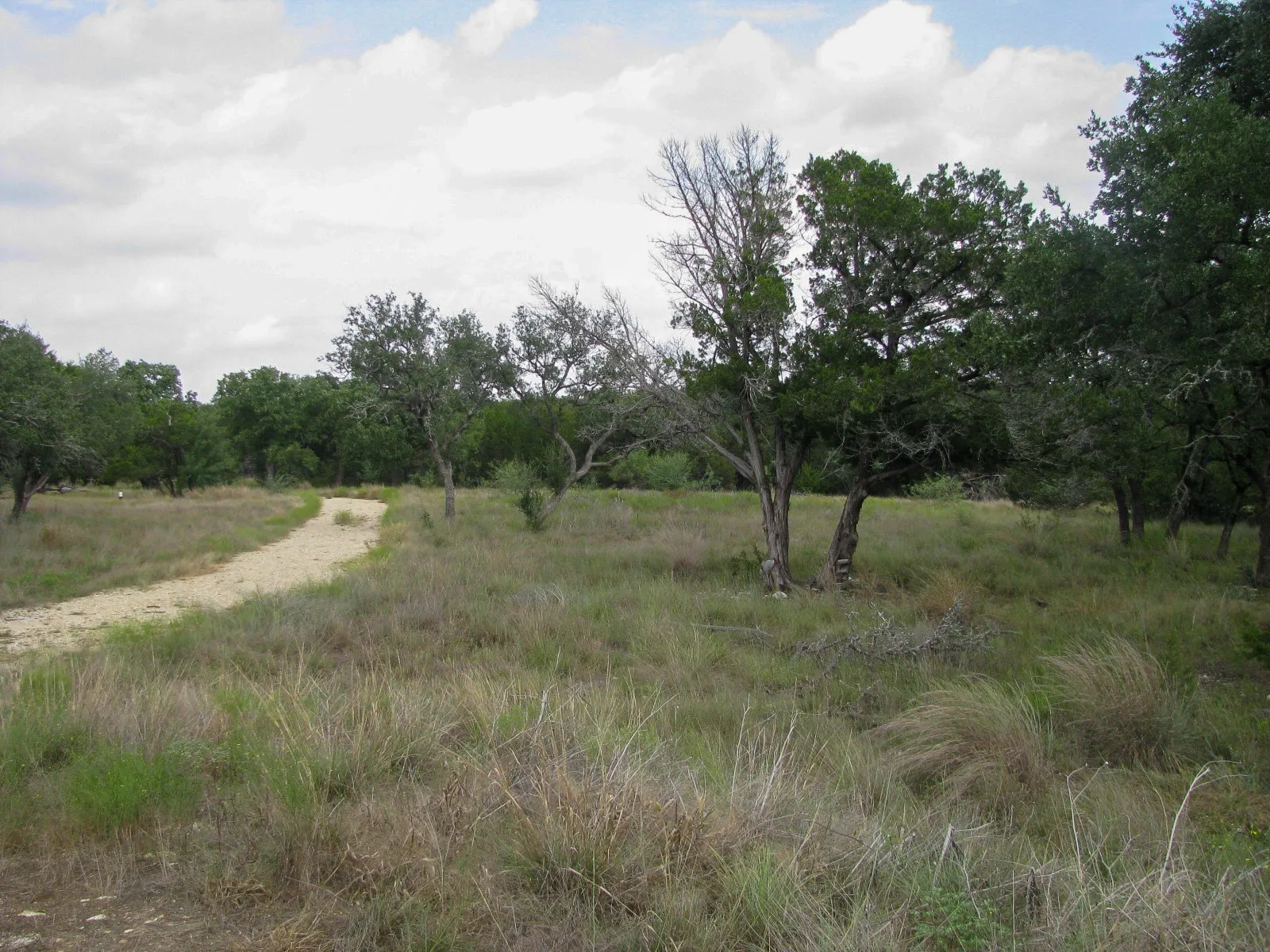 Unimproved Land For Sale in Hamilton County , Lot 106 Ph 6 PR 42101, Evant, Texas 76525, 0, 0, Garage spaces, 0 Sqft, built in 0, mls#21404588, Real Estate Agent in Evant, Homes For Sale in Hamilton county, Homes For Sale in Evant, Realtor in Evant Texas, Real Estate Brokerage Independent Realty Texas, Luminita Cordes Realtor