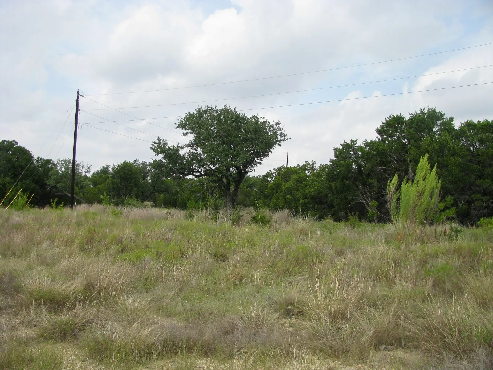 Unimproved Land For Sale in Hamilton County , Lot 106 Ph 6 PR 42101, Evant, Texas 76525, 0, 0, Garage spaces, 0 Sqft, built in 0, mls#21404588, Real Estate Agent in Evant, Homes For Sale in Hamilton county, Homes For Sale in Evant, Realtor in Evant Texas, Real Estate Brokerage Independent Realty Texas, Luminita Cordes Realtor