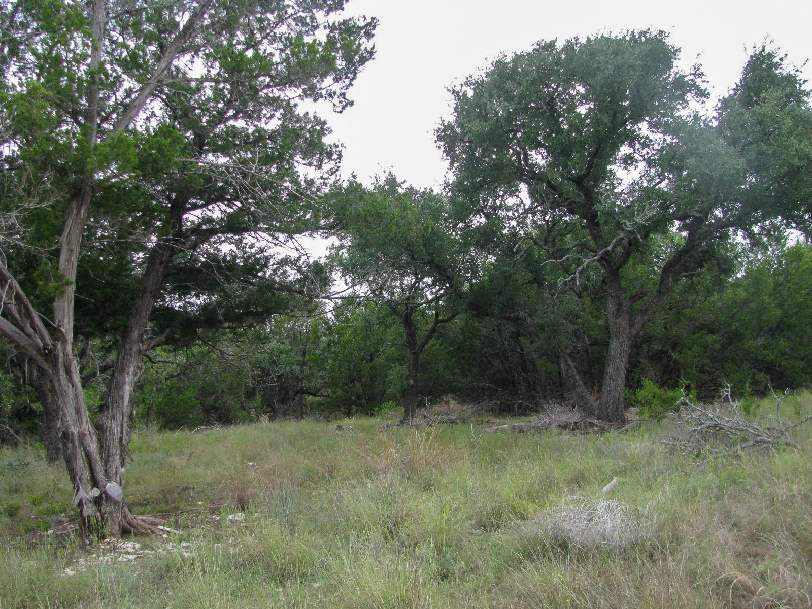 Unimproved Land For Sale in Hamilton County , Lot 106 Ph 6 PR 42101, Evant, Texas 76525, 0, 0, Garage spaces, 0 Sqft, built in 0, mls#21404588, Real Estate Agent in Evant, Homes For Sale in Hamilton county, Homes For Sale in Evant, Realtor in Evant Texas, Real Estate Brokerage Independent Realty Texas, Luminita Cordes Realtor