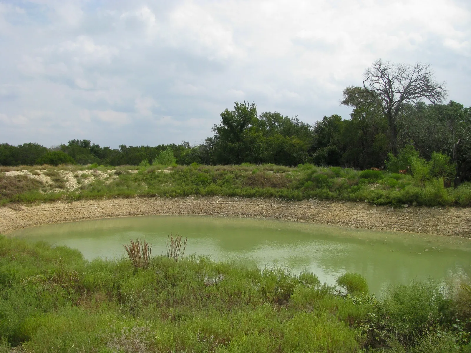 Unimproved Land For Sale in Hamilton County , Lot 106 Ph 6 PR 42101, Evant, Texas 76525, 0, 0, Garage spaces, 0 Sqft, built in 0, mls#21404588, Real Estate Agent in Evant, Homes For Sale in Hamilton county, Homes For Sale in Evant, Realtor in Evant Texas, Real Estate Brokerage Independent Realty Texas, Luminita Cordes Realtor
