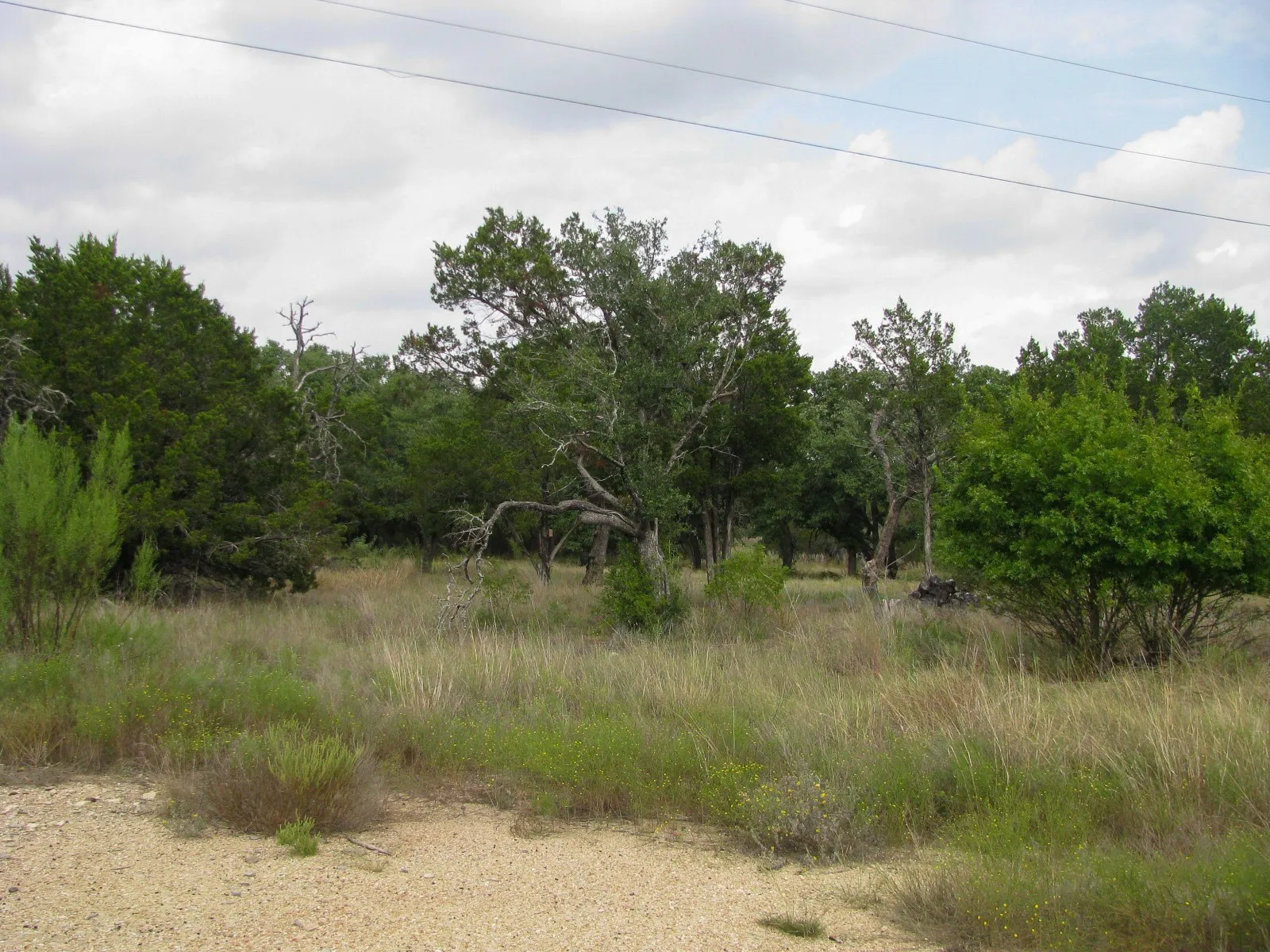 Unimproved Land For Sale in Hamilton County , Lot 106 Ph 6 PR 42101, Evant, Texas 76525, 0, 0, Garage spaces, 0 Sqft, built in 0, mls#21404588, Real Estate Agent in Evant, Homes For Sale in Hamilton county, Homes For Sale in Evant, Realtor in Evant Texas, Real Estate Brokerage Independent Realty Texas, Luminita Cordes Realtor
