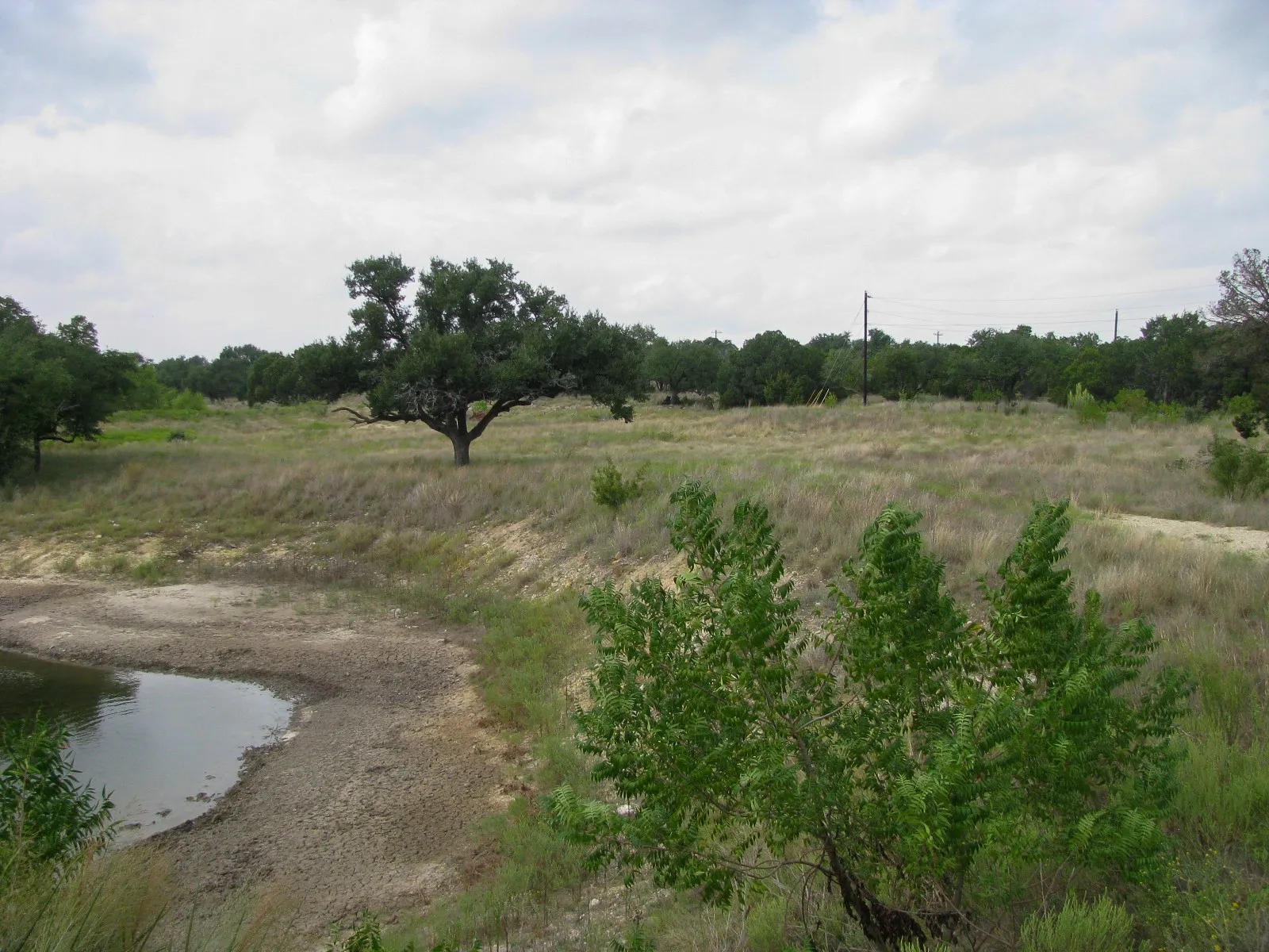 Unimproved Land For Sale in Hamilton County , Lot 106 Ph 6 PR 42101, Evant, Texas 76525, 0, 0, Garage spaces, 0 Sqft, built in 0, mls#21404588, Real Estate Agent in Evant, Homes For Sale in Hamilton county, Homes For Sale in Evant, Realtor in Evant Texas, Real Estate Brokerage Independent Realty Texas, Luminita Cordes Realtor