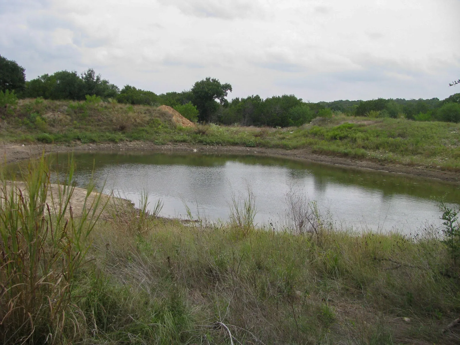 Unimproved Land For Sale in Hamilton County , Lot 106 Ph 6 PR 42101, Evant, Texas 76525, 0, 0, Garage spaces, 0 Sqft, built in 0, mls#21404588, Real Estate Agent in Evant, Homes For Sale in Hamilton county, Homes For Sale in Evant, Realtor in Evant Texas, Real Estate Brokerage Independent Realty Texas, Luminita Cordes Realtor