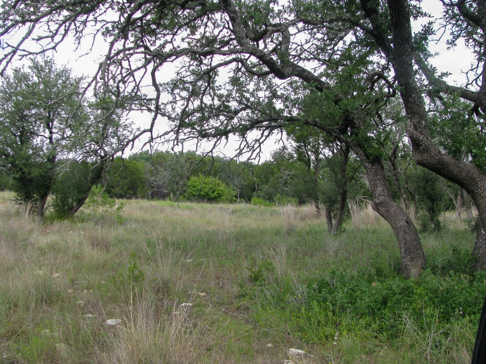 Unimproved Land For Sale in Hamilton County , Lot 106 Ph 6 PR 42101, Evant, Texas 76525, 0, 0, Garage spaces, 0 Sqft, built in 0, mls#21404588, Real Estate Agent in Evant, Homes For Sale in Hamilton county, Homes For Sale in Evant, Realtor in Evant Texas, Real Estate Brokerage Independent Realty Texas, Luminita Cordes Realtor
