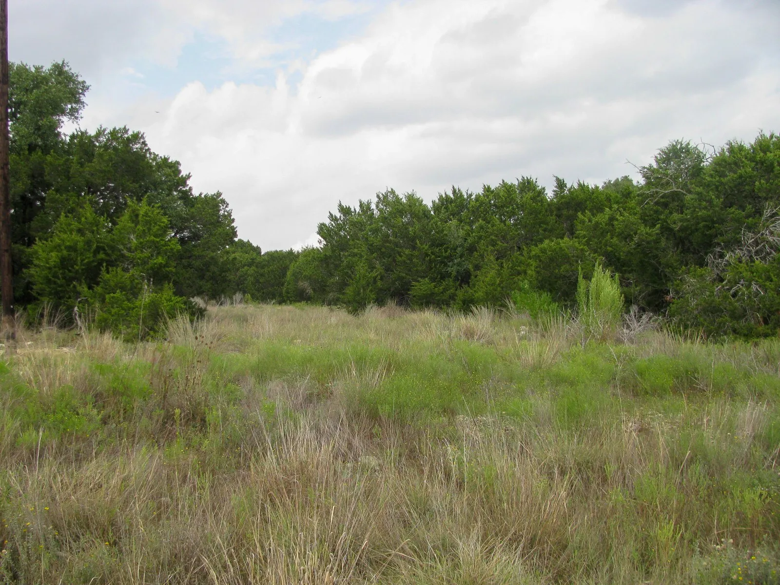 Unimproved Land For Sale in Hamilton County , Lot 106 Ph 6 PR 42101, Evant, Texas 76525, 0, 0, Garage spaces, 0 Sqft, built in 0, mls#21404588, Real Estate Agent in Evant, Homes For Sale in Hamilton county, Homes For Sale in Evant, Realtor in Evant Texas, Real Estate Brokerage Independent Realty Texas, Luminita Cordes Realtor