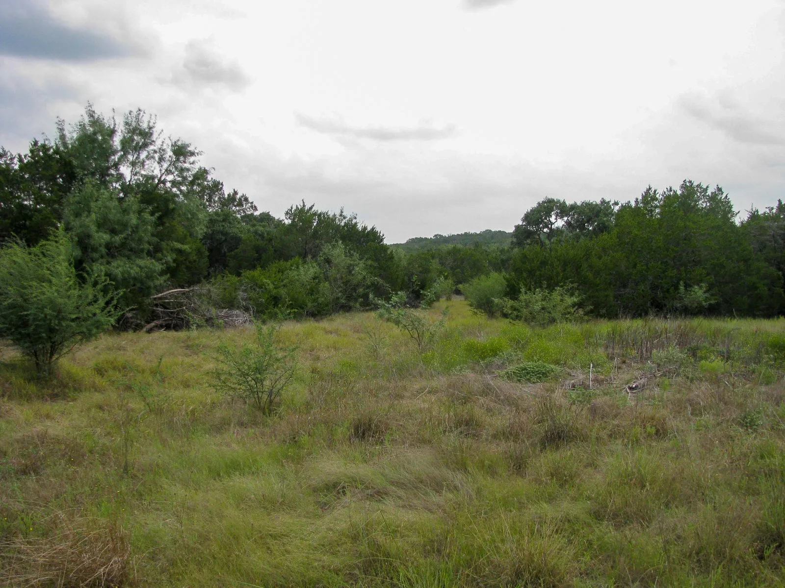 Unimproved Land For Sale in Hamilton County , Lot 106 Ph 6 PR 42101, Evant, Texas 76525, 0, 0, Garage spaces, 0 Sqft, built in 0, mls#21404588, Real Estate Agent in Evant, Homes For Sale in Hamilton county, Homes For Sale in Evant, Realtor in Evant Texas, Real Estate Brokerage Independent Realty Texas, Luminita Cordes Realtor