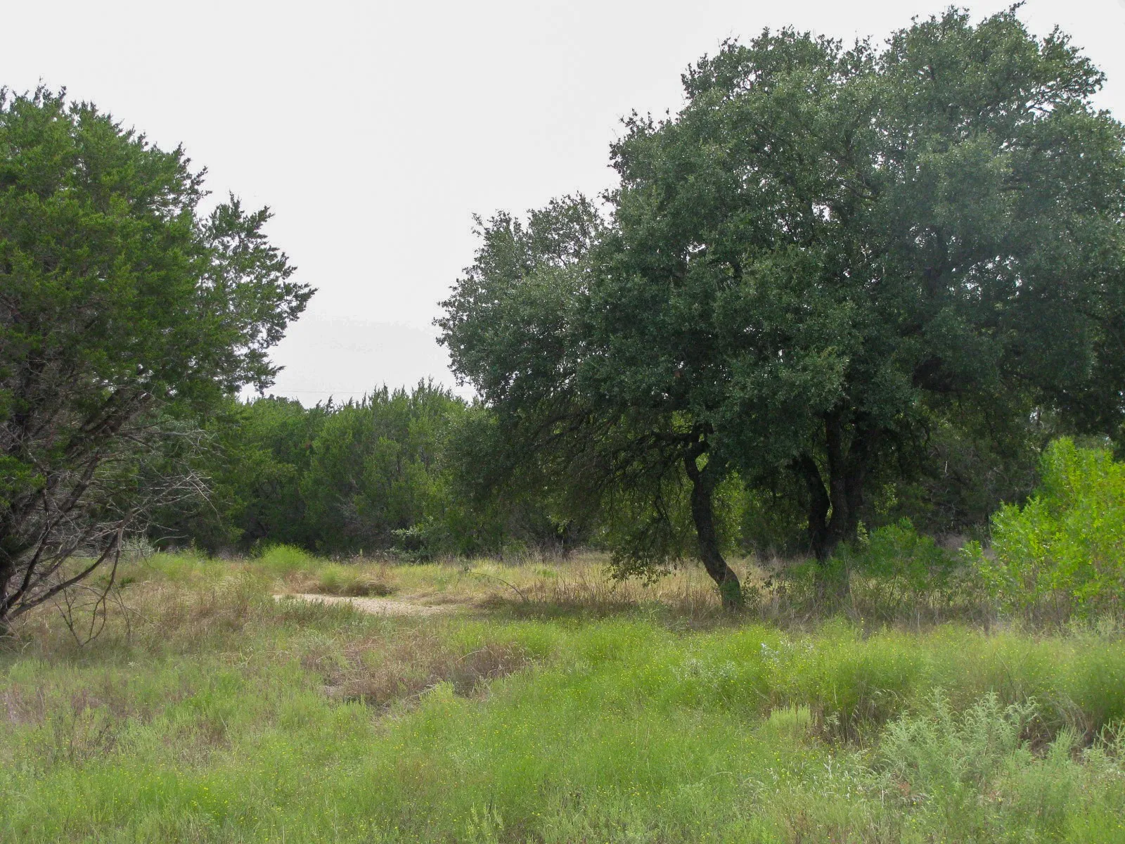 Unimproved Land For Sale in Hamilton County , Lot 106 Ph 6 PR 42101, Evant, Texas 76525, 0, 0, Garage spaces, 0 Sqft, built in 0, mls#21404588, Real Estate Agent in Evant, Homes For Sale in Hamilton county, Homes For Sale in Evant, Realtor in Evant Texas, Real Estate Brokerage Independent Realty Texas, Luminita Cordes Realtor