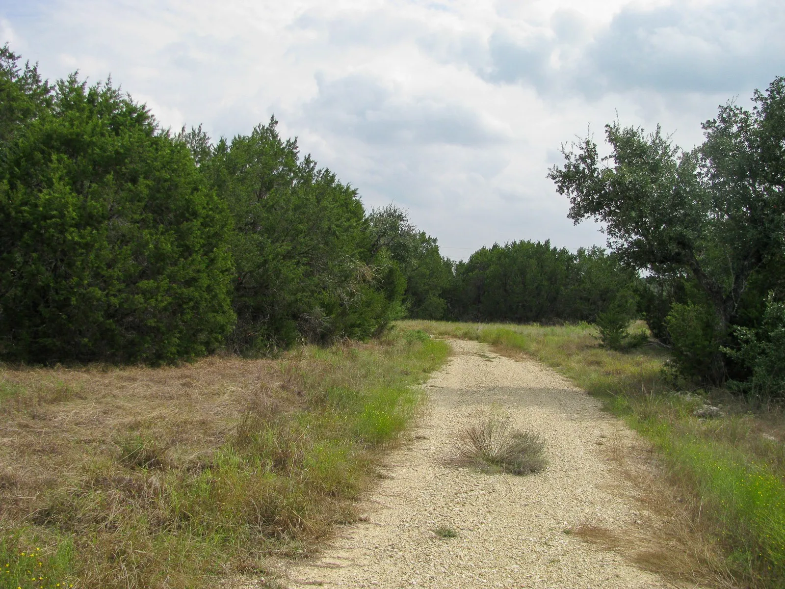Unimproved Land For Sale in Hamilton County , Lot 106 Ph 6 PR 42101, Evant, Texas 76525, 0, 0, Garage spaces, 0 Sqft, built in 0, mls#21404588, Real Estate Agent in Evant, Homes For Sale in Hamilton county, Homes For Sale in Evant, Realtor in Evant Texas, Real Estate Brokerage Independent Realty Texas, Luminita Cordes Realtor