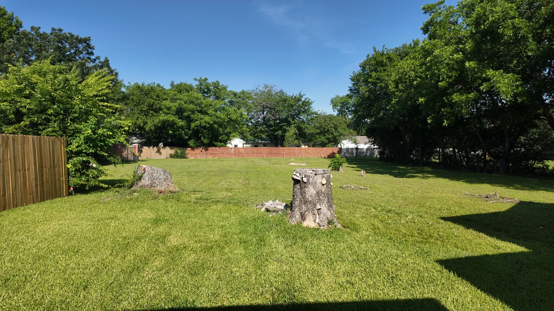 Expansive manicured lawn with mature tree specimens and established landscaping, anchored by mature tree stumps