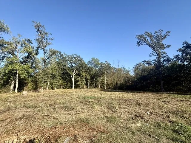 Unimproved Land For Sale in Lamar County , 705 41st Street SW, Paris, Texas 75460, 0, 0, Garage spaces, 0 Sqft, built in 0, mls#21403784, Real Estate Agent in Paris, Homes For Sale in Lamar county, Homes For Sale in Paris, Realtor in Paris Texas, Real Estate Brokerage Independent Realty Texas, Luminita Cordes Realtor