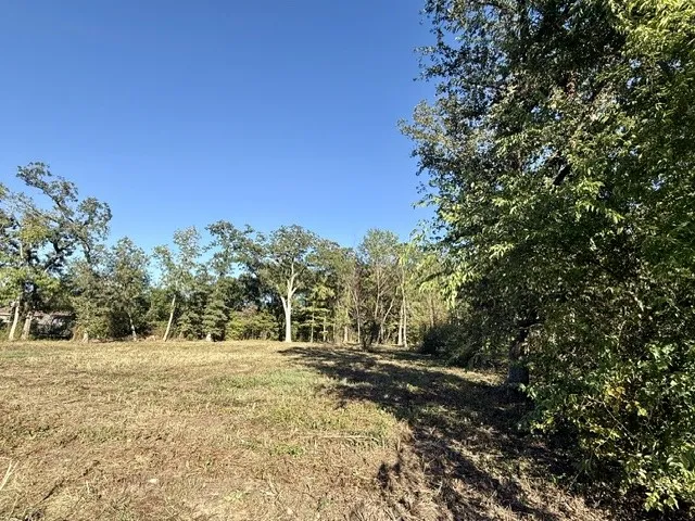 Unimproved Land For Sale in Lamar County , 705 41st Street SW, Paris, Texas 75460, 0, 0, Garage spaces, 0 Sqft, built in 0, mls#21403784, Real Estate Agent in Paris, Homes For Sale in Lamar county, Homes For Sale in Paris, Realtor in Paris Texas, Real Estate Brokerage Independent Realty Texas, Luminita Cordes Realtor