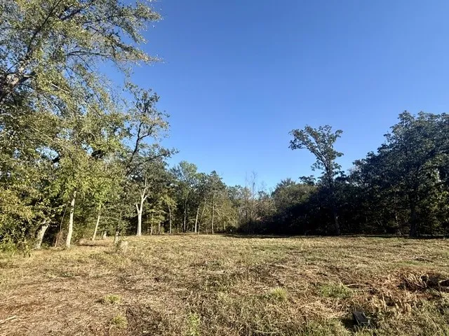 Unimproved Land For Sale in Lamar County , 705 41st Street SW, Paris, Texas 75460, 0, 0, Garage spaces, 0 Sqft, built in 0, mls#21403784, Real Estate Agent in Paris, Homes For Sale in Lamar county, Homes For Sale in Paris, Realtor in Paris Texas, Real Estate Brokerage Independent Realty Texas, Luminita Cordes Realtor