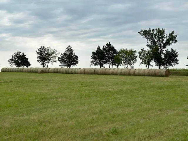 Unimproved Land For Sale in Grayson County , 178 Williams Road, Gordonville, Texas 75090, 0, 0, Garage spaces, 0 Sqft, built in 0, mls#21403339, Real Estate Agent in Gordonville, Homes For Sale in Grayson county, Homes For Sale in Gordonville, Realtor in Gordonville Texas, Real Estate Brokerage Independent Realty Texas, Luminita Cordes Realtor