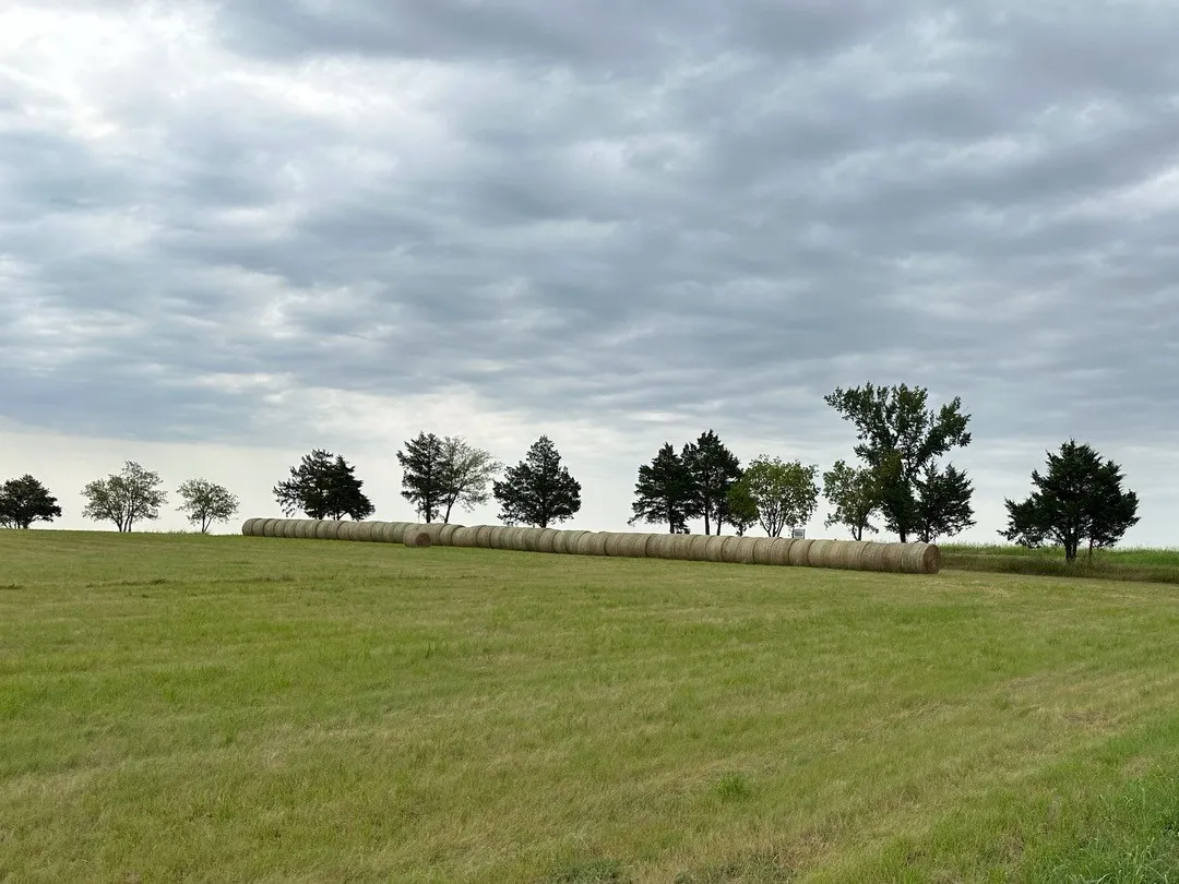 Unimproved Land For Sale in Grayson County , 178 Williams Road, Gordonville, Texas 75090, 0, 0, Garage spaces, 0 Sqft, built in 0, mls#21403339, Real Estate Agent in Gordonville, Homes For Sale in Grayson county, Homes For Sale in Gordonville, Realtor in Gordonville Texas, Real Estate Brokerage Independent Realty Texas, Luminita Cordes Realtor