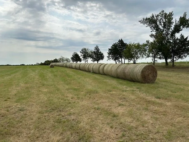 Unimproved Land For Sale in Grayson County , 178 Williams Road, Gordonville, Texas 75090, 0, 0, Garage spaces, 0 Sqft, built in 0, mls#21403339, Real Estate Agent in Gordonville, Homes For Sale in Grayson county, Homes For Sale in Gordonville, Realtor in Gordonville Texas, Real Estate Brokerage Independent Realty Texas, Luminita Cordes Realtor