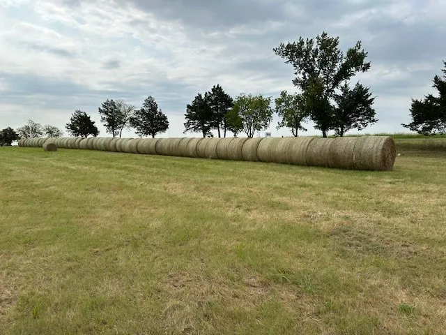 Unimproved Land For Sale in Grayson County , 178 Williams Road, Gordonville, Texas 75090, 0, 0, Garage spaces, 0 Sqft, built in 0, mls#21403339, Real Estate Agent in Gordonville, Homes For Sale in Grayson county, Homes For Sale in Gordonville, Realtor in Gordonville Texas, Real Estate Brokerage Independent Realty Texas, Luminita Cordes Realtor