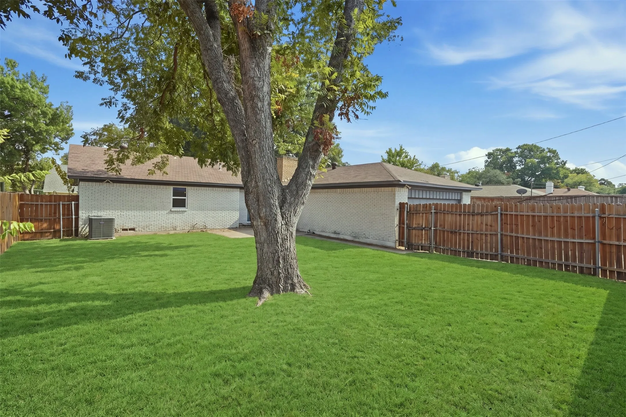 Huge grassy backyard space