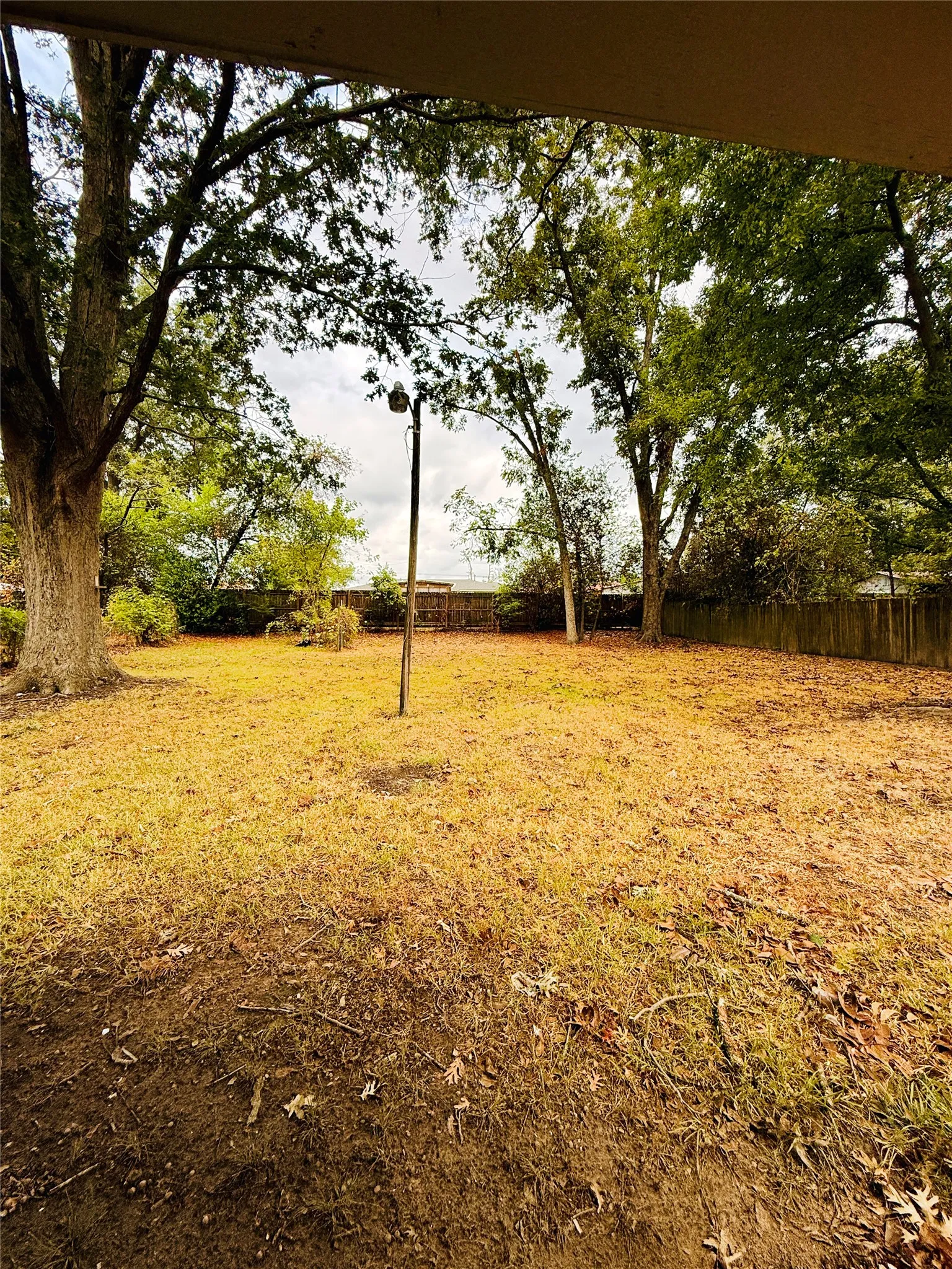 Backyard