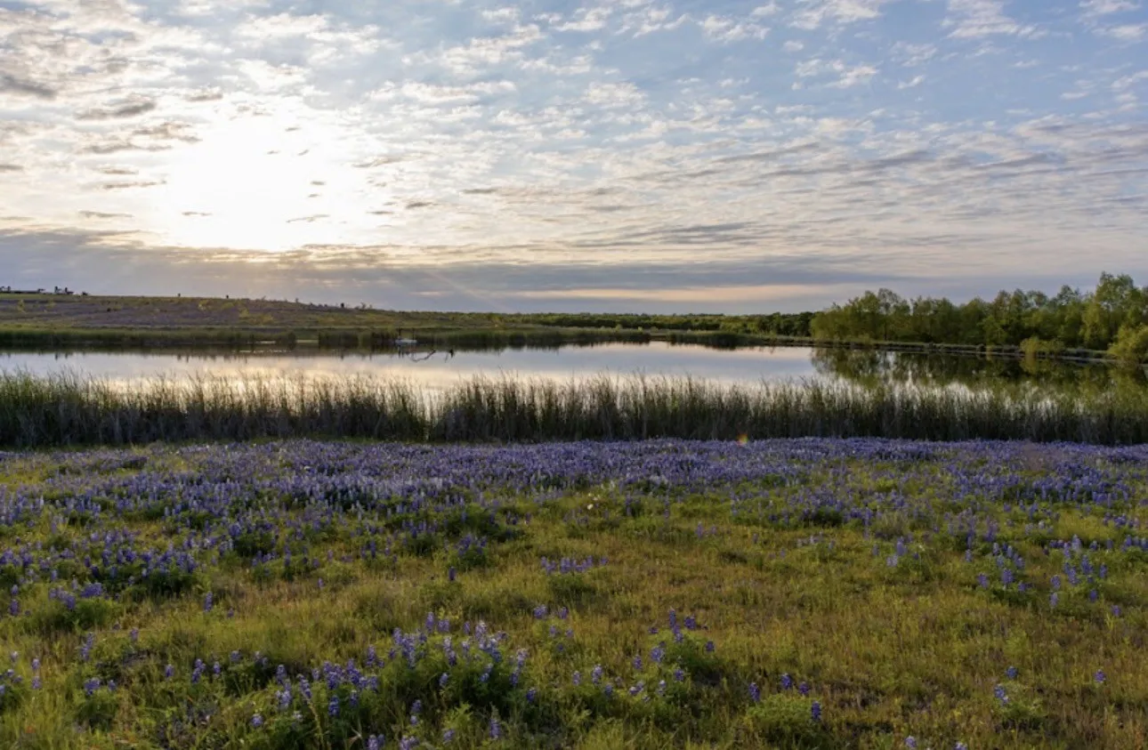 Improved Land For Sale in Titus County , 50 CR 3227 Lot 3, Mt Pleasant, Texas 75455, 0, 0, Garage spaces, 0 Sqft, built in 0, mls#21404526, Real Estate Agent in Mt Pleasant, Homes For Sale in Titus county, Homes For Sale in Mt Pleasant, Realtor in Mt Pleasant Texas, Real Estate Brokerage Independent Realty Texas, Luminita Cordes Realtor