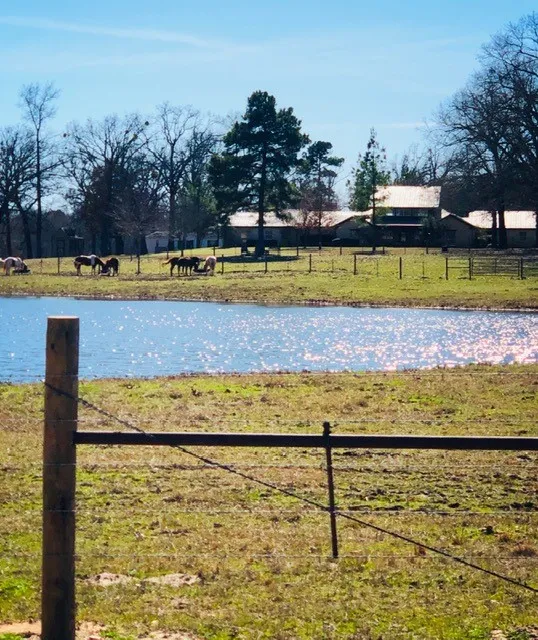 Single Family Residence For Sale in Wood County , 1644 County Road 4730, Winnsboro, Texas 75494, 4 Bedroom, 3 Bathroom, 3 Garage spaces, 3,200 Sqft, built in 2005, mls#21404649, Real Estate Agent in Winnsboro, Homes For Sale in Wood county, Homes For Sale in Winnsboro, Realtor in Winnsboro Texas, Real Estate Brokerage Independent Realty Texas, Luminita Cordes Realtor