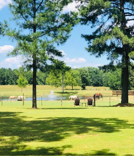 Single Family Residence For Sale in Wood County , 1644 County Road 4730, Winnsboro, Texas 75494, 4 Bedroom, 3 Bathroom, 3 Garage spaces, 3,200 Sqft, built in 2005, mls#21404649, Real Estate Agent in Winnsboro, Homes For Sale in Wood county, Homes For Sale in Winnsboro, Realtor in Winnsboro Texas, Real Estate Brokerage Independent Realty Texas, Luminita Cordes Realtor