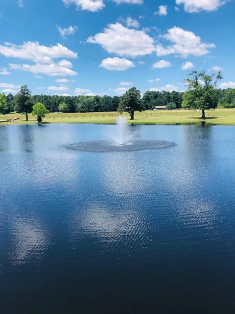 Single Family Residence For Sale in Wood County , 1644 County Road 4730, Winnsboro, Texas 75494, 4 Bedroom, 3 Bathroom, 3 Garage spaces, 3,200 Sqft, built in 2005, mls#21404649, Real Estate Agent in Winnsboro, Homes For Sale in Wood county, Homes For Sale in Winnsboro, Realtor in Winnsboro Texas, Real Estate Brokerage Independent Realty Texas, Luminita Cordes Realtor