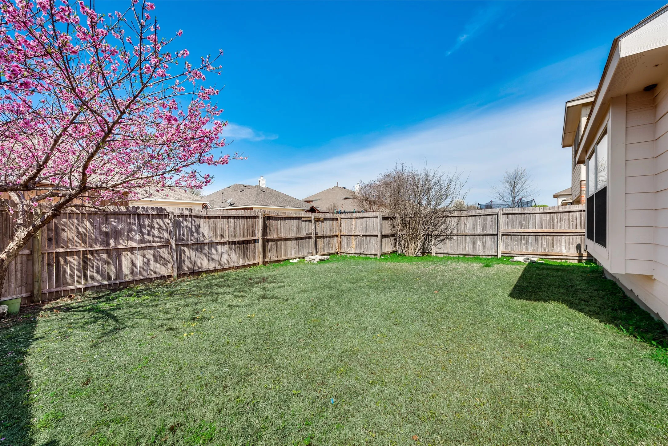 Expansive backyard featuring a manicured lawn, full privacy fencing, and a mature flowering tree