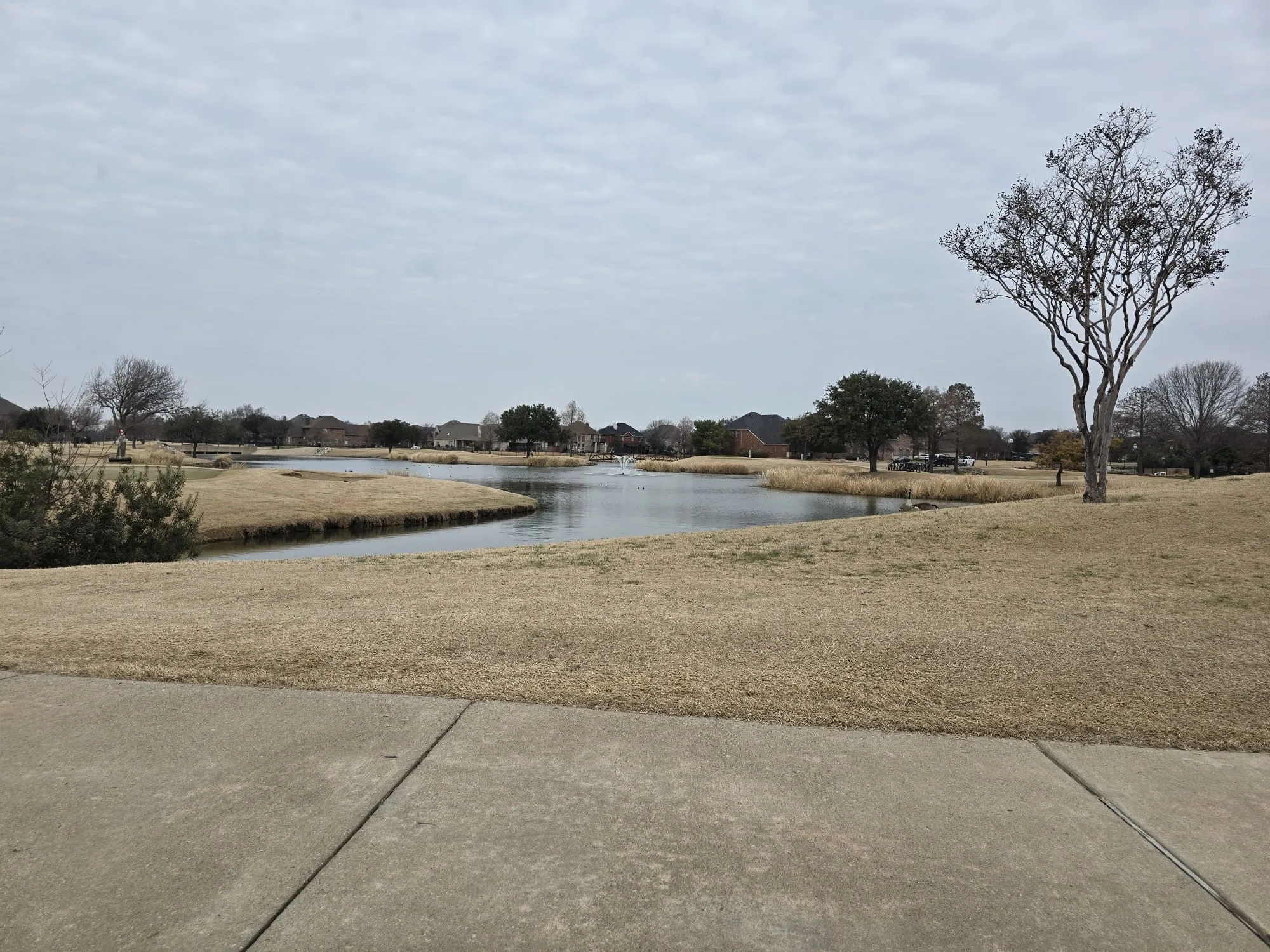 Single Family Residence For Rent in Denton County , 3412 Continental Drive, Frisco, Texas 75034, 5 Bedroom, 4 Bathroom, 3 Garage spaces, 3,573 Sqft, built in 2004, mls#21404603, Real Estate Agent in Frisco, Homes For Rent in Denton county, Homes For Rent in Frisco, Realtor in Frisco Texas, Real Estate Brokerage Independent Realty Texas, Luminita Cordes Realtor
