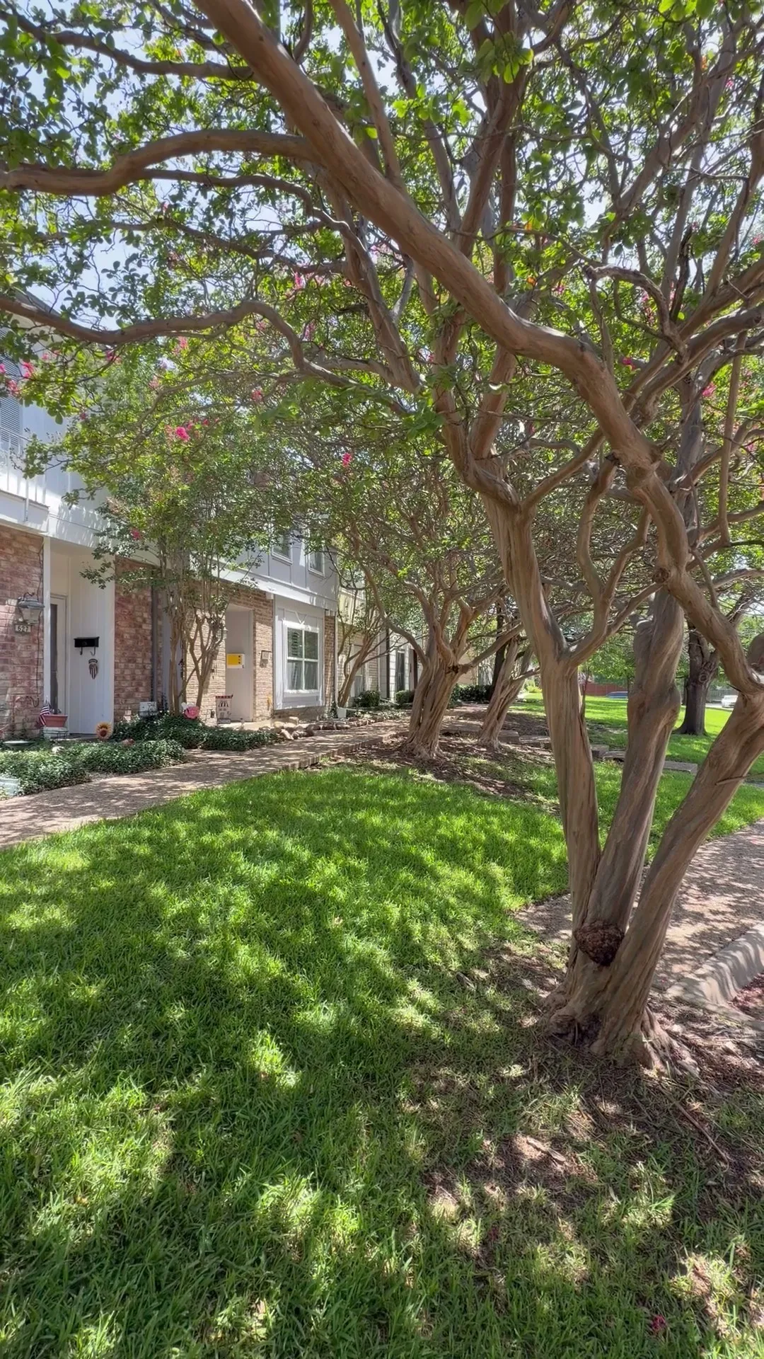 Townhouse For Rent in Dallas County , 625 Trailwood Court, Garland, Texas 75043, 3 Bedroom, 3 Bathroom, Garage spaces, 1,584 Sqft, built in 1973, mls#21404749, Real Estate Agent in Garland, Homes For Rent in Dallas county, Homes For Rent in Garland, Realtor in Garland Texas, Real Estate Brokerage Independent Realty Texas, Luminita Cordes Realtor