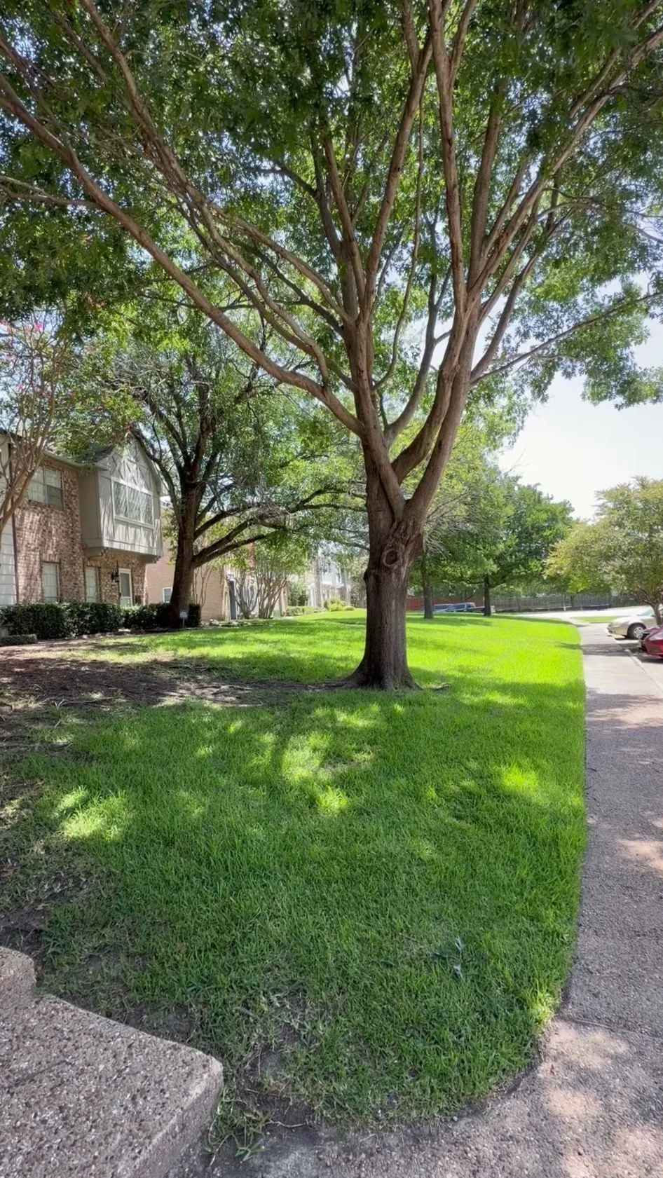 Townhouse For Rent in Dallas County , 625 Trailwood Court, Garland, Texas 75043, 3 Bedroom, 3 Bathroom, Garage spaces, 1,584 Sqft, built in 1973, mls#21404749, Real Estate Agent in Garland, Homes For Rent in Dallas county, Homes For Rent in Garland, Realtor in Garland Texas, Real Estate Brokerage Independent Realty Texas, Luminita Cordes Realtor