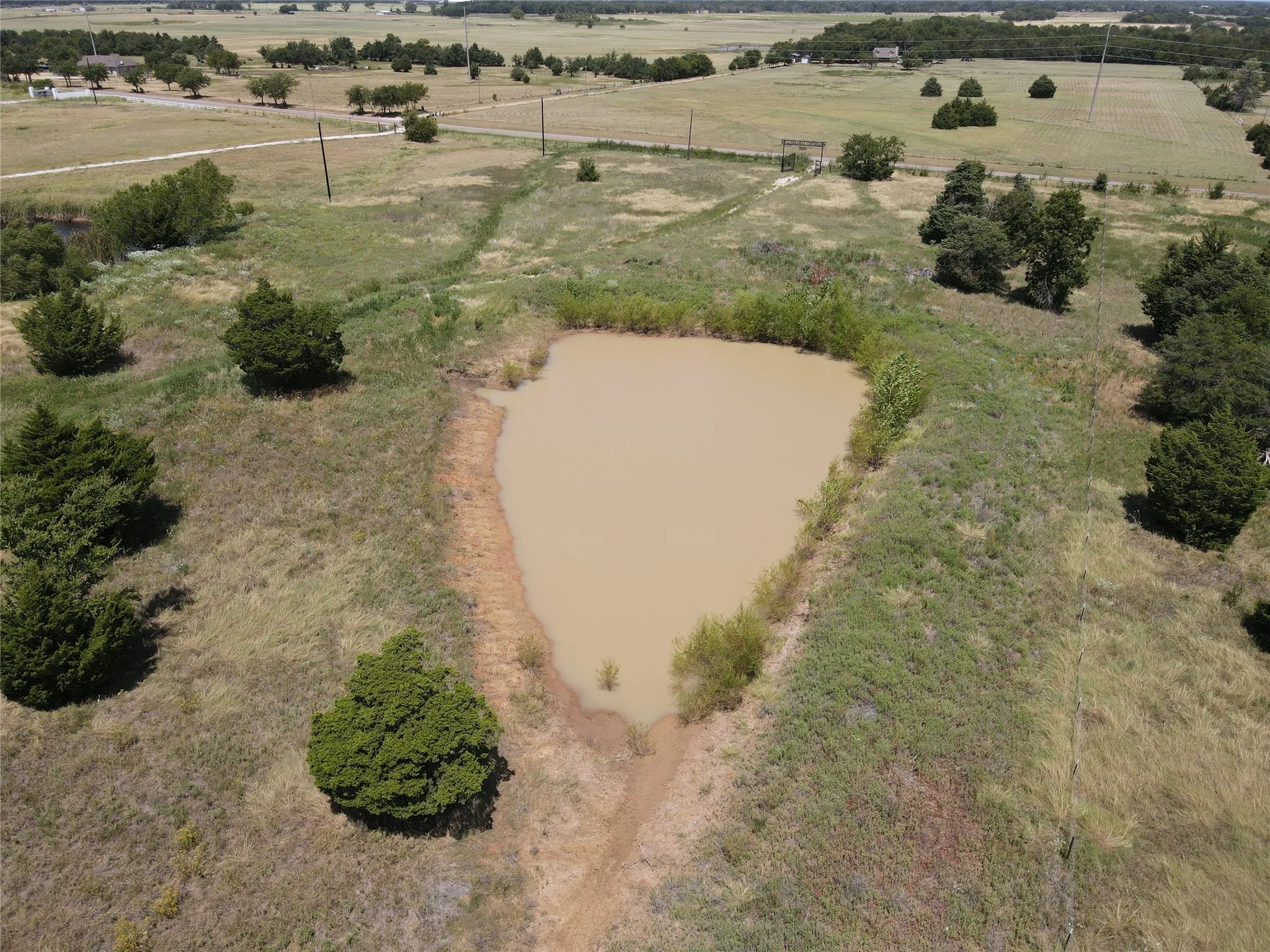Pond with natural earthen banks, surrounded by varied vegetation and distant structures