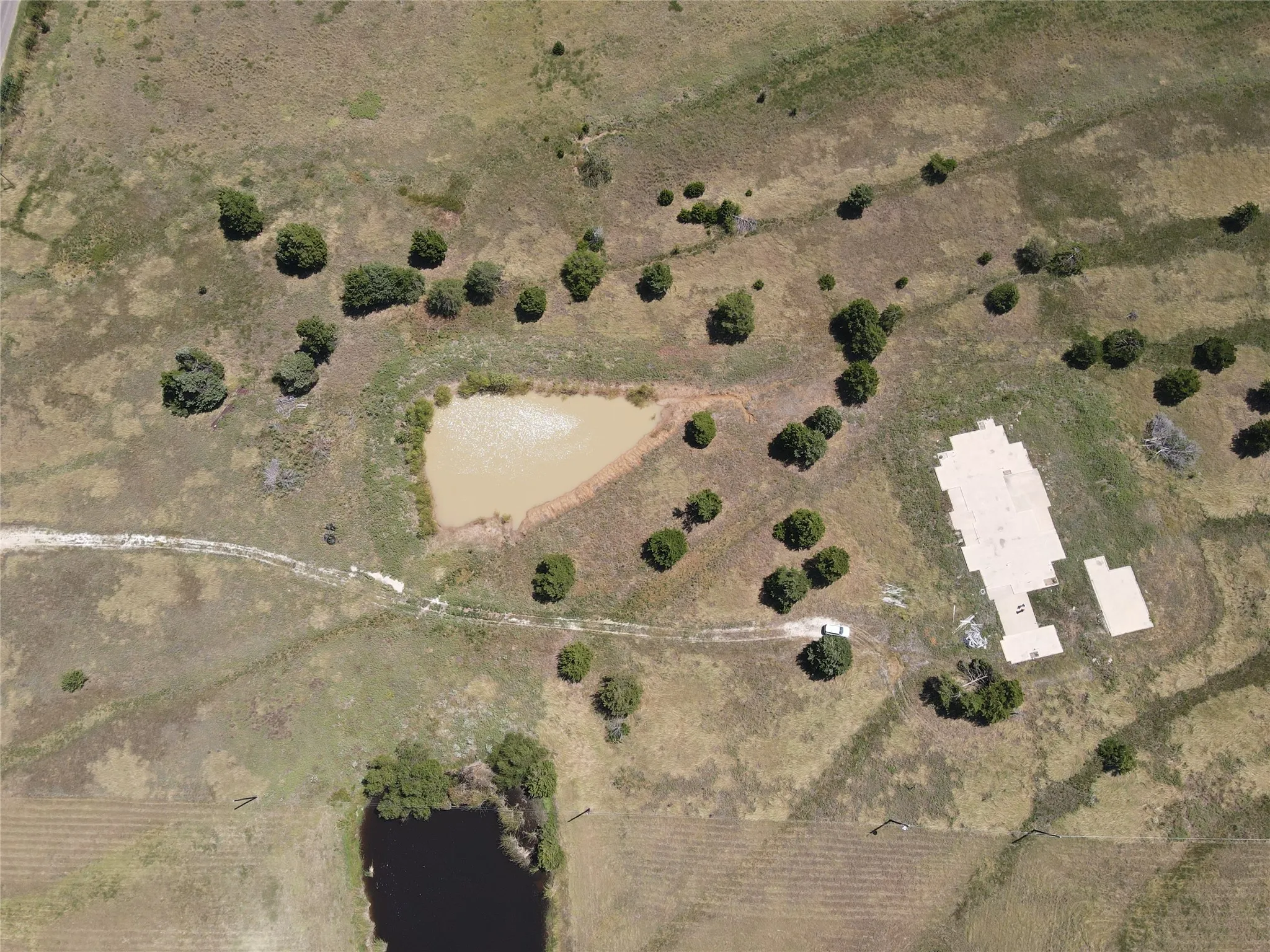 Pond with established shoreline vegetation surrounded by natural green and brown grasses and scattered trees