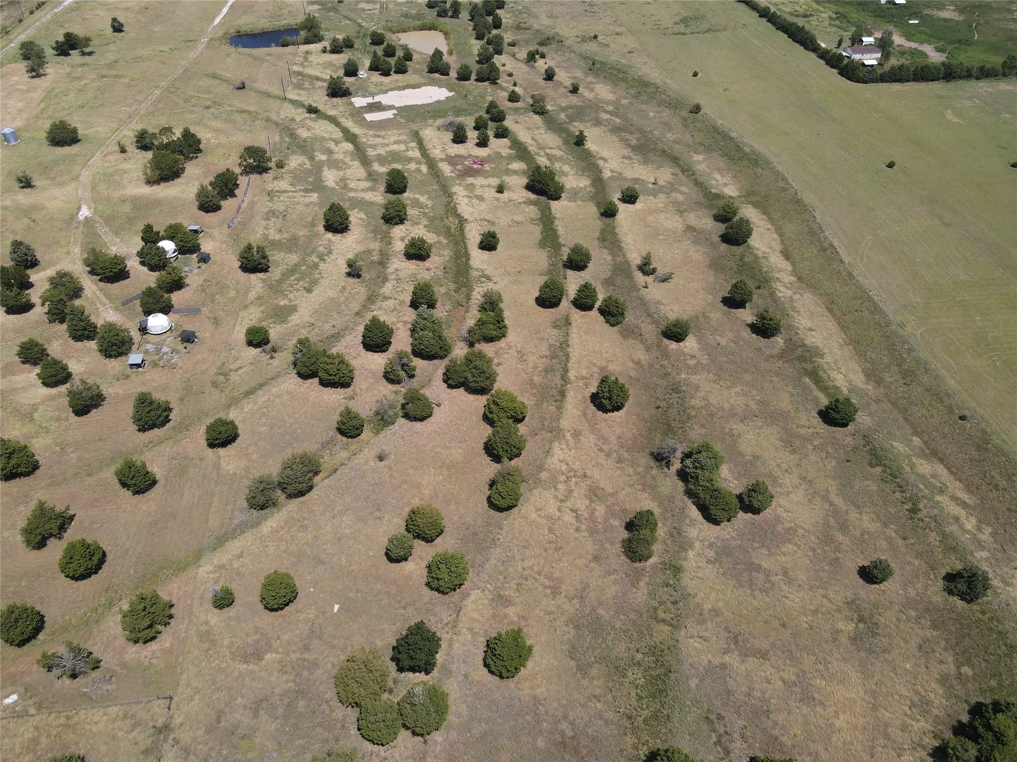 Expansive land with varied terrain, featuring multiple scattered trees, open grassy areas, and a visible pond