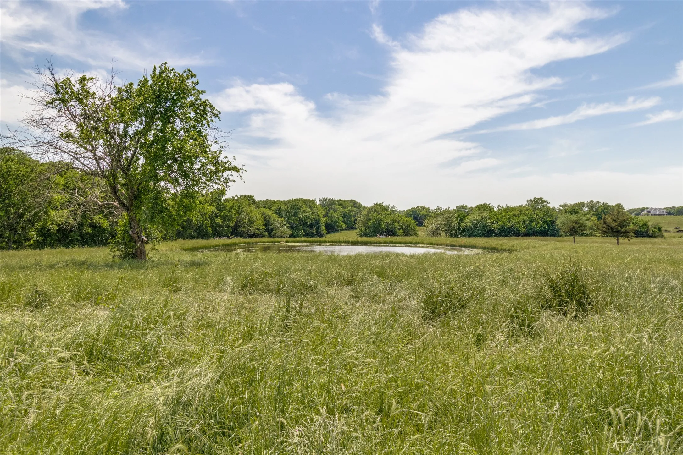 Unimproved Land For Sale in Collin County , 7163 - 2 CR 573, Blue Ridge, Texas 75424, 0, 0, Garage spaces, 0 Sqft, built in 0, mls#21404760, Real Estate Agent in Blue Ridge, Homes For Sale in Collin county, Homes For Sale in Blue Ridge, Realtor in Blue Ridge Texas, Real Estate Brokerage Independent Realty Texas, Luminita Cordes Realtor