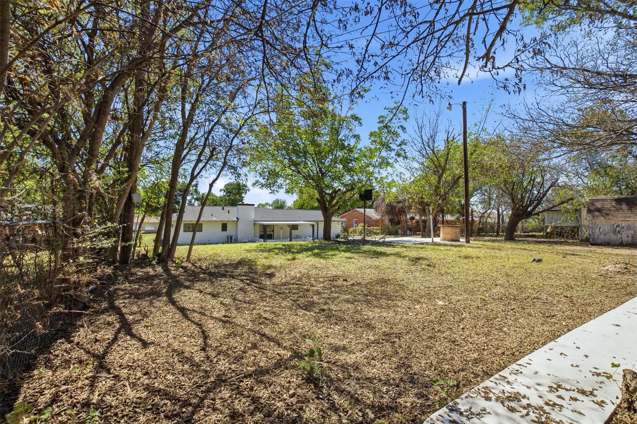 Expansive outdoor area featuring mature trees and a concrete pathway