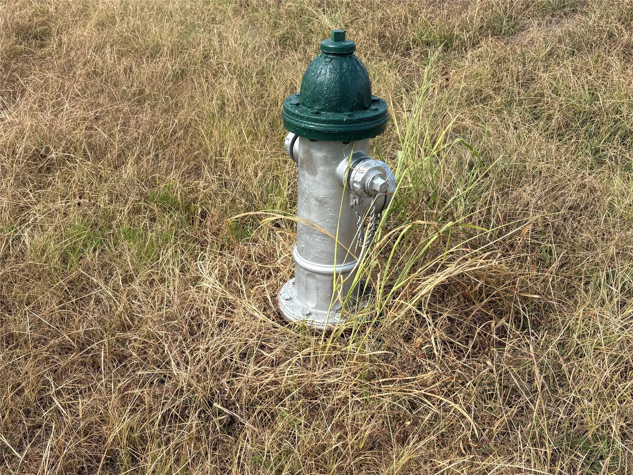 Improved Land For Sale in Hunt County , 221 Maple Street, Commerce, Texas 75428, 0, 0, Garage spaces, 0 Sqft, built in 0, mls#21402262, Real Estate Agent in Commerce, Homes For Sale in Hunt county, Homes For Sale in Commerce, Realtor in Commerce Texas, Real Estate Brokerage Independent Realty Texas, Luminita Cordes Realtor