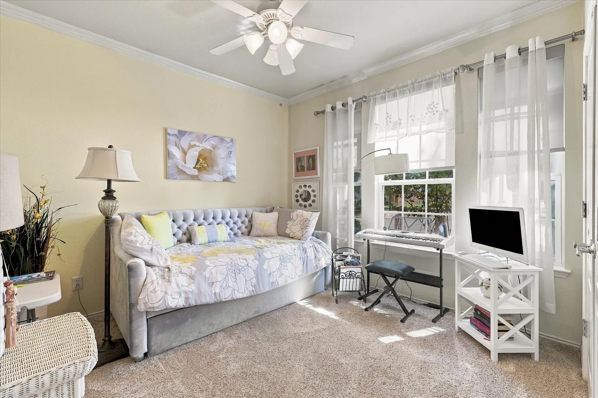 Plush carpet flooring, crown molding, ceiling fan, and large windows with sheer coverings