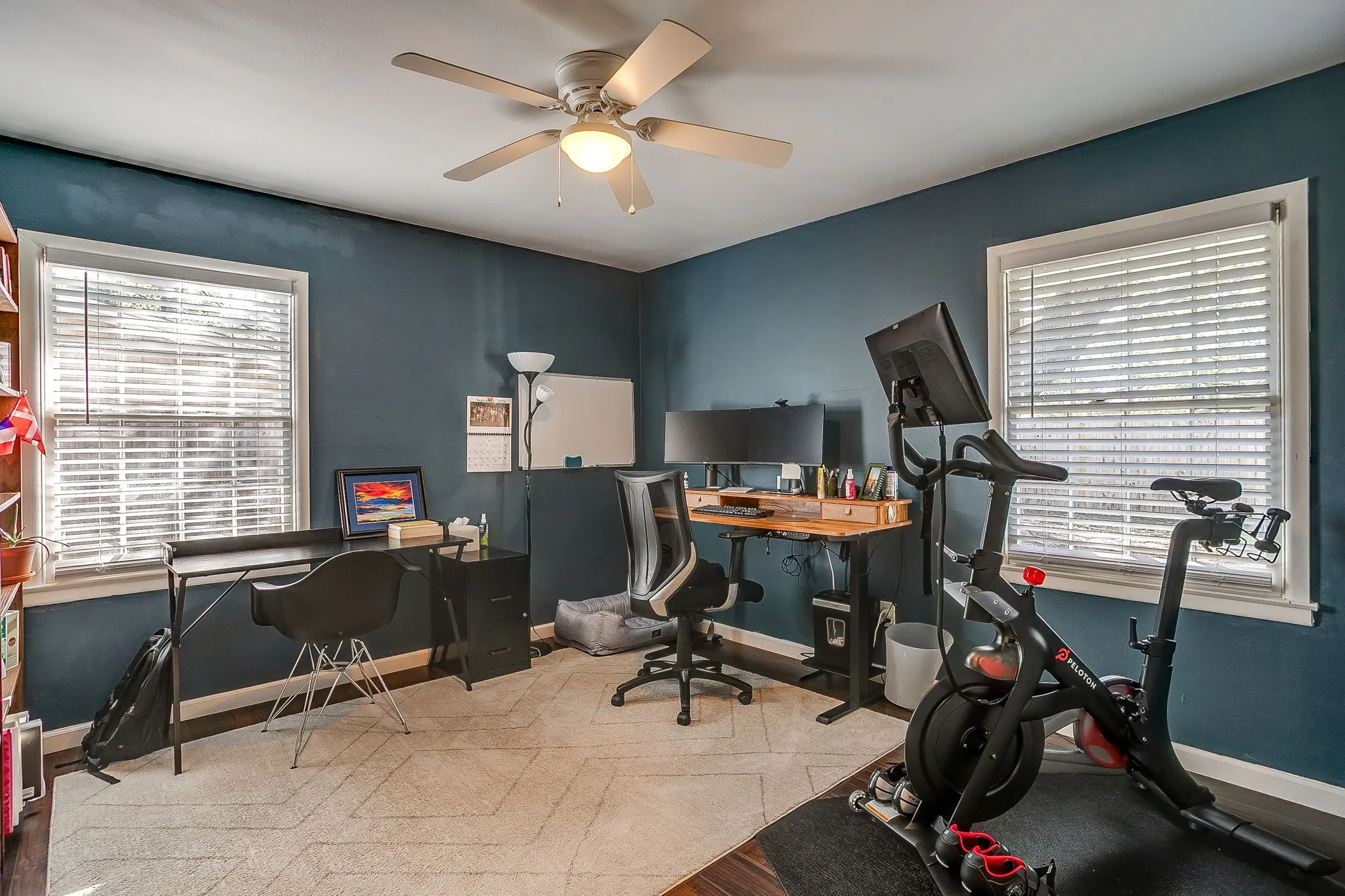 Versatile home office with dual workstations, teal accent walls, abundant natural light from two large windows with plantation shutters, wood-finish flooring, and a ceiling fan with integrated lighting
