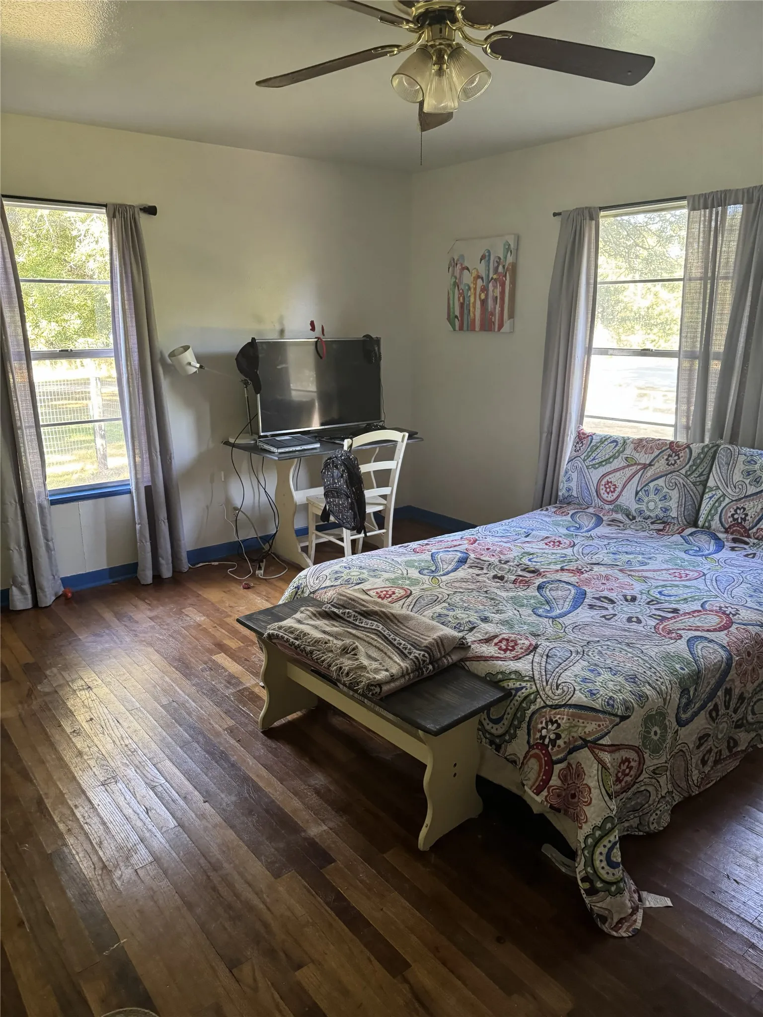 Hardwood flooring, painted walls, ceiling fan with integrated lighting, and dual windows